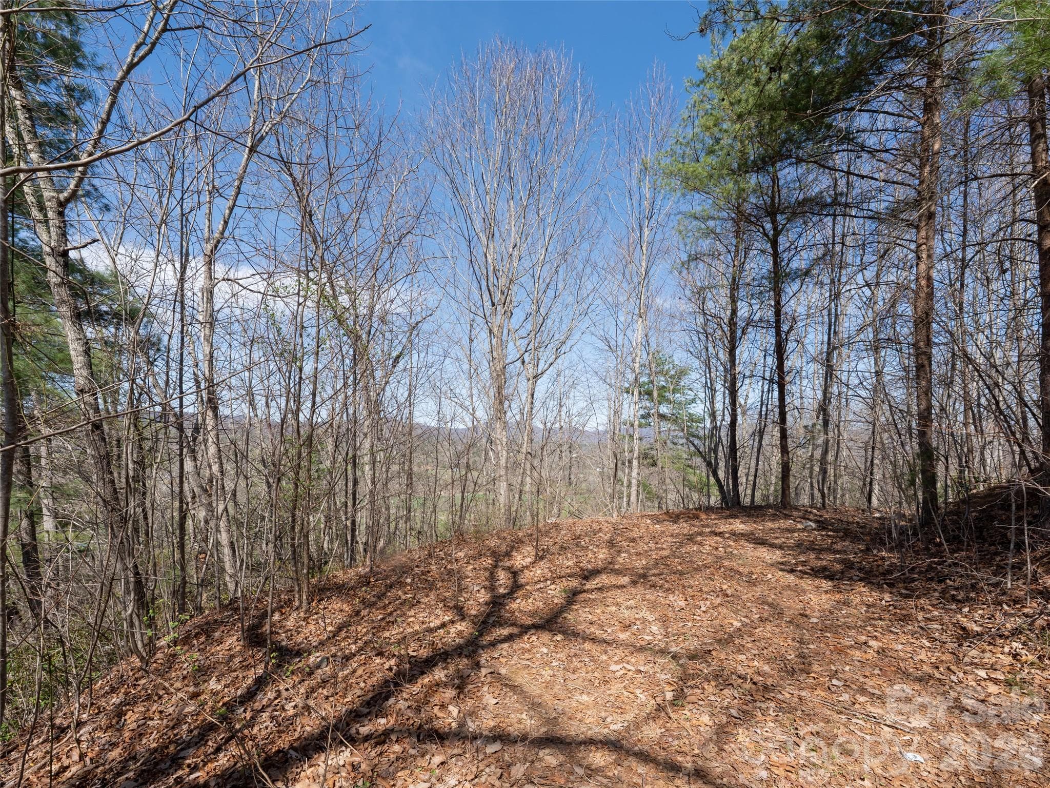 Lot at Fletcher, photo 6 of 22