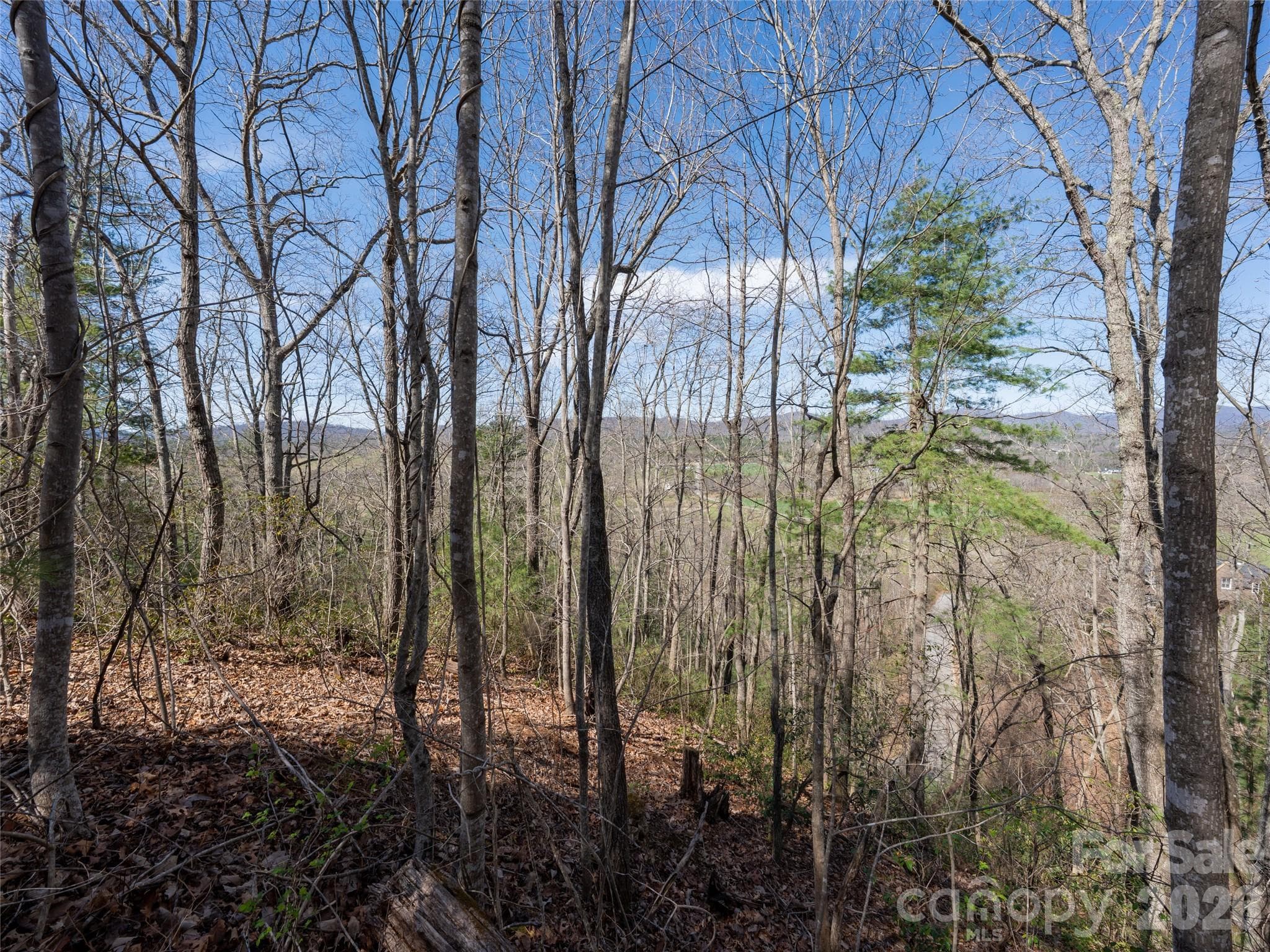 Lot at Fletcher, photo 8 of 22