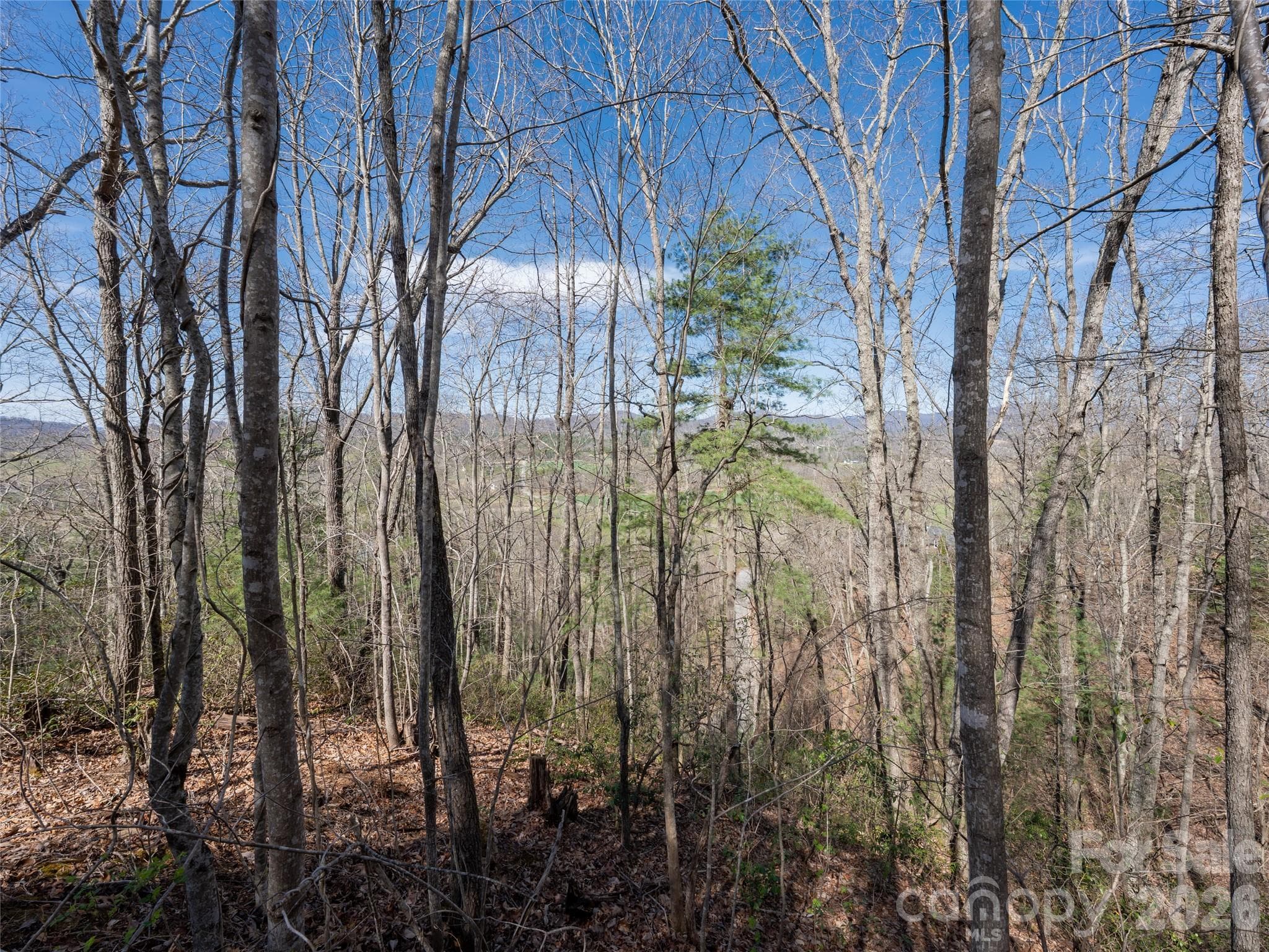 Lot at Fletcher, photo 9 of 22