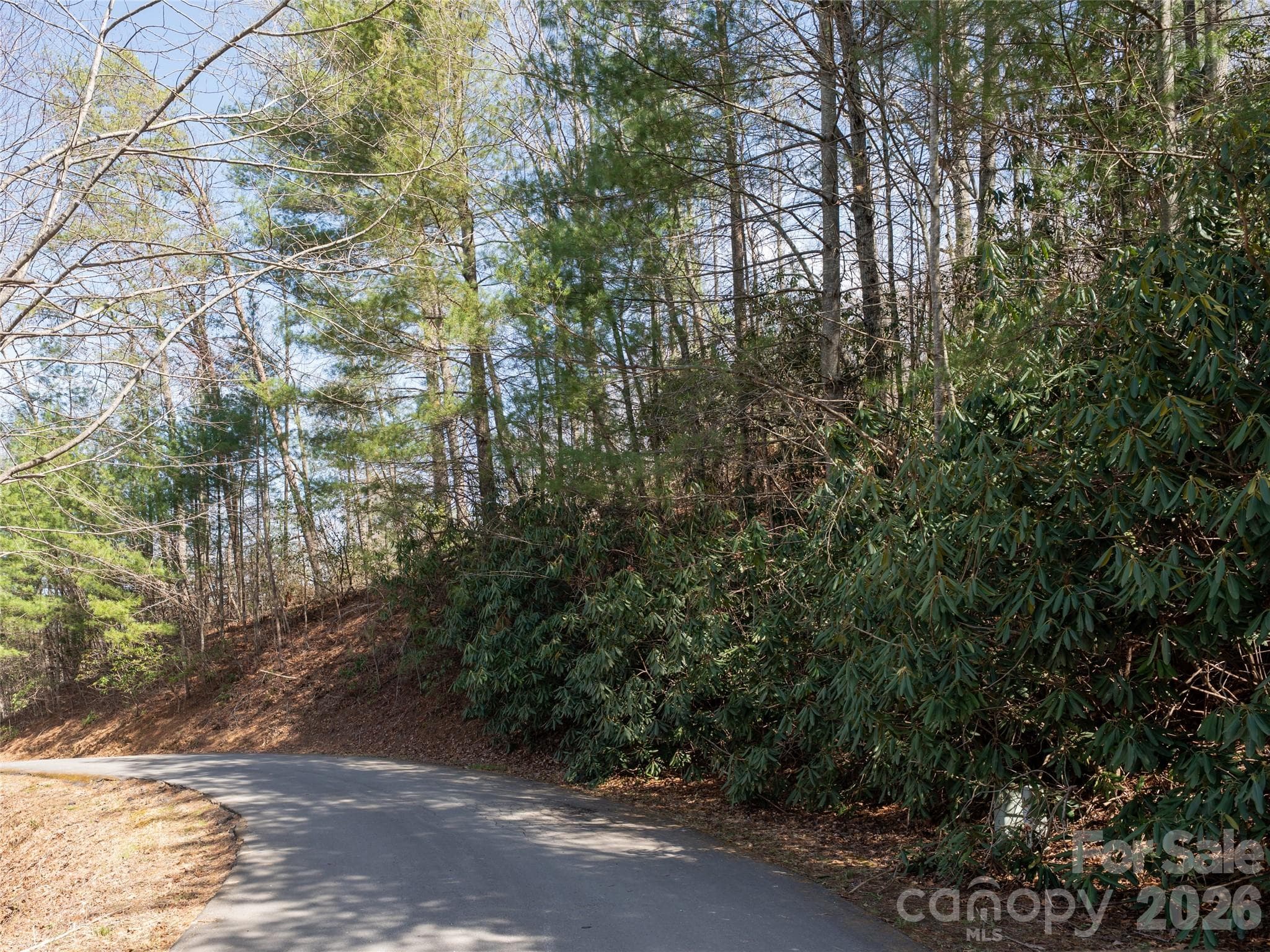 Lot at Fletcher, photo 11 of 22
