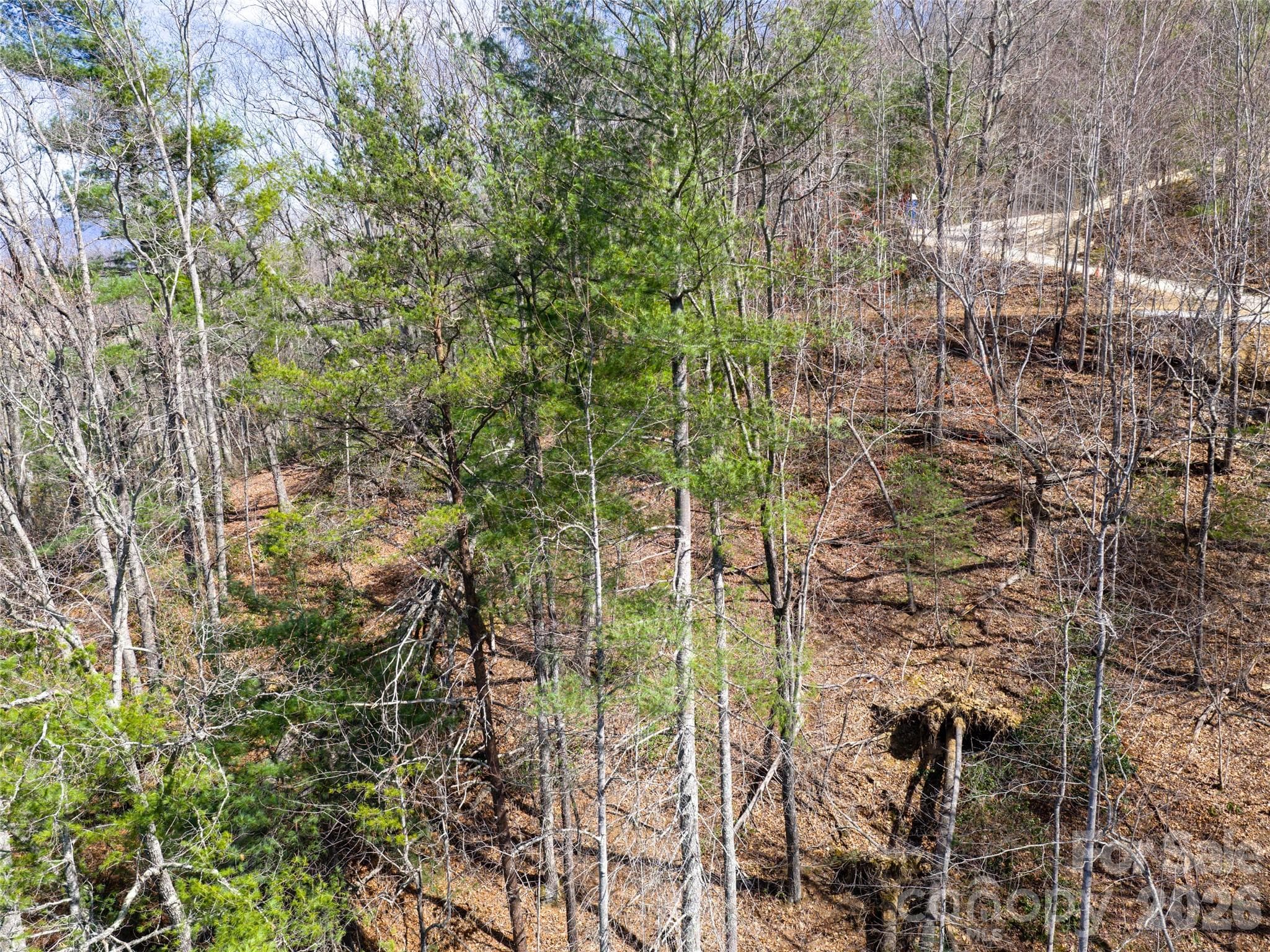 Lot at Fletcher, photo 12 of 22