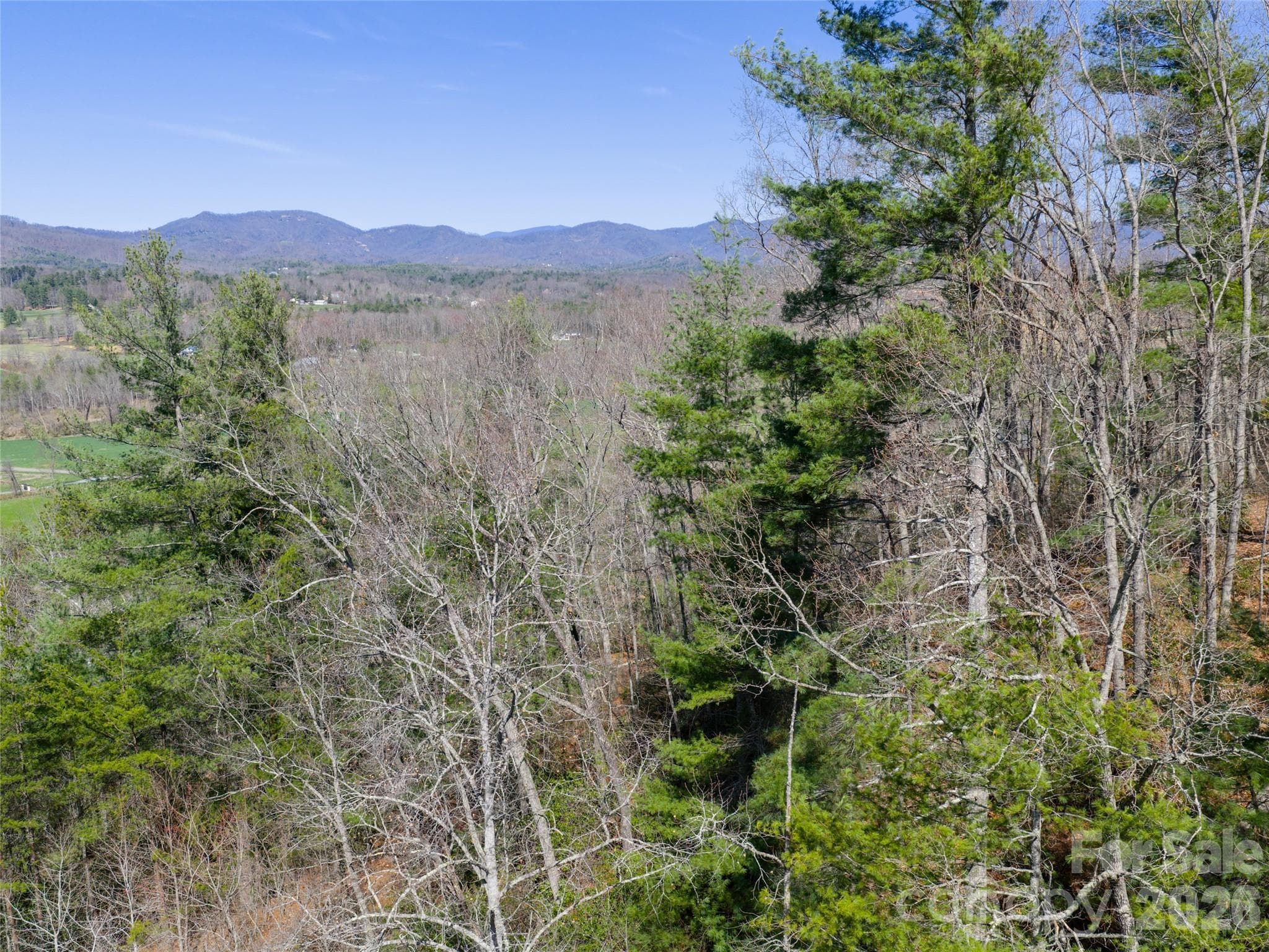 Lot at Fletcher, photo 13 of 22