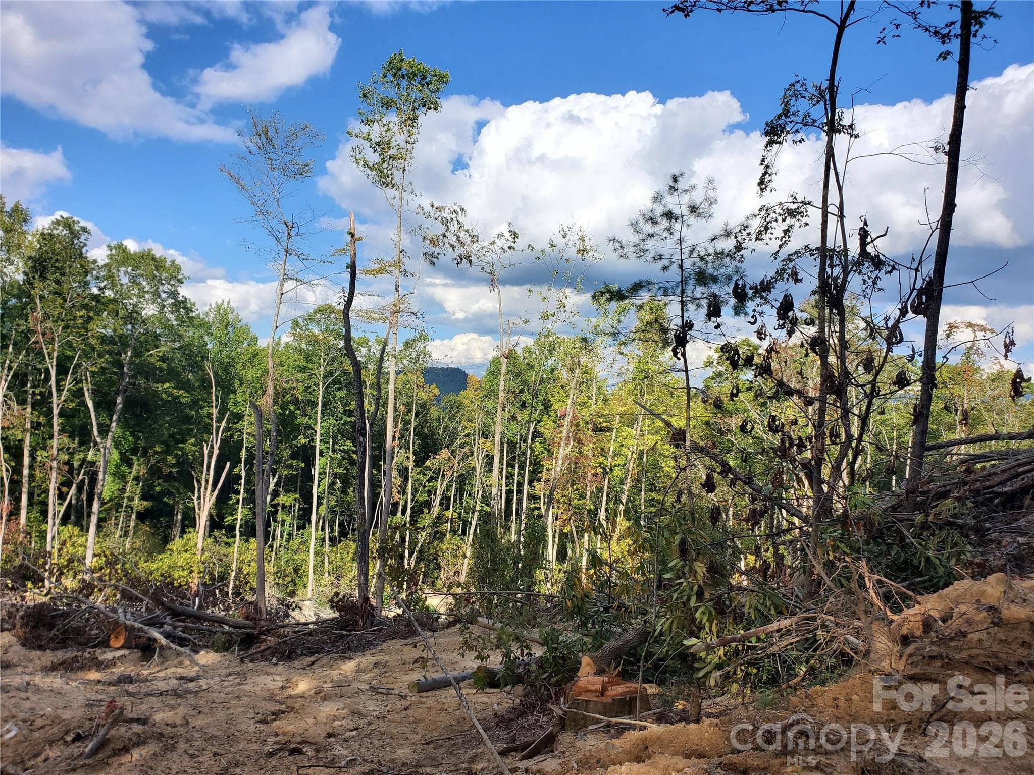 Acreage at 00 Parkwood Hill Road, Spruce Pine, photo 6 of 13