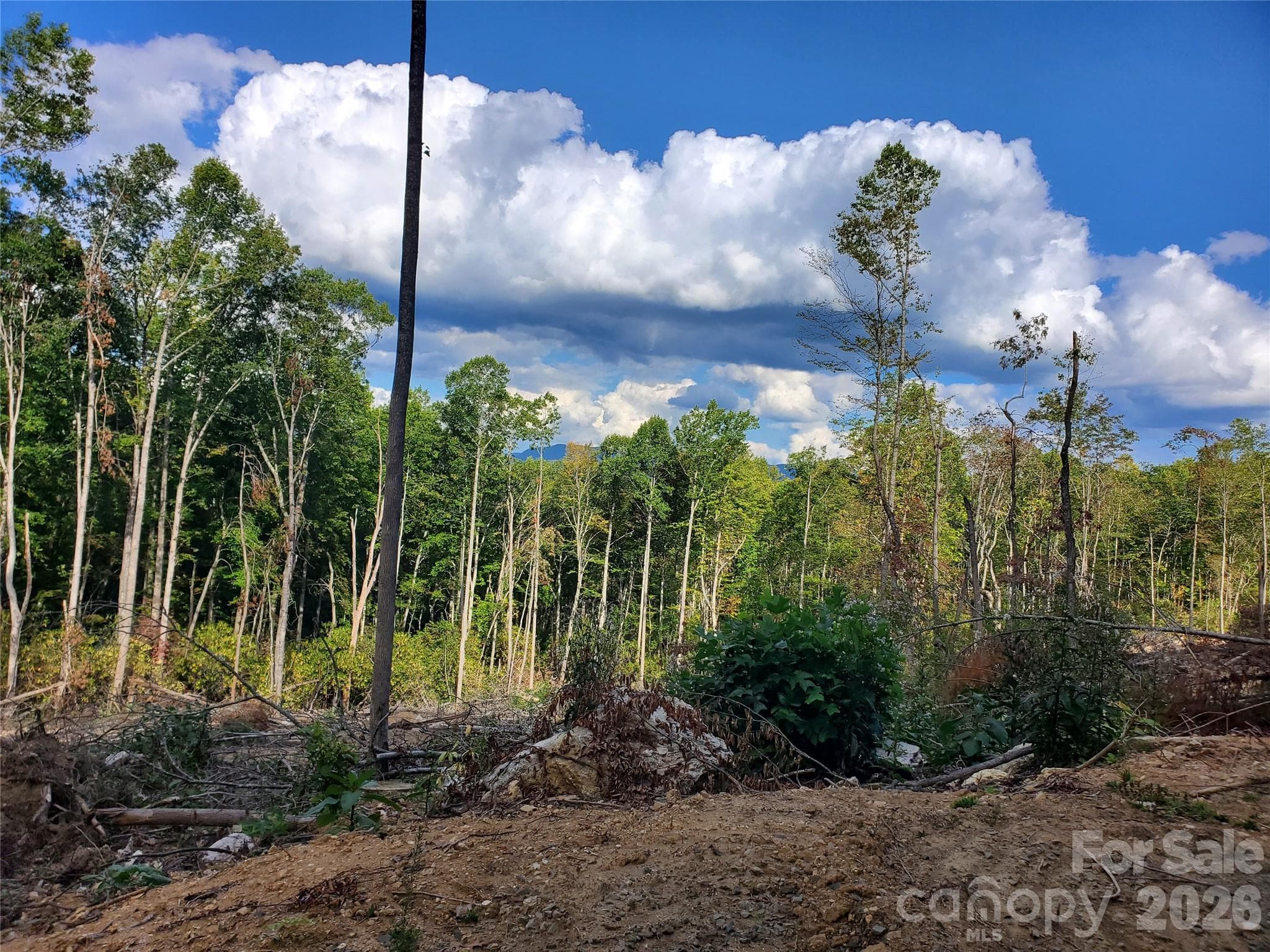 Acreage at 00 Parkwood Hill Road, Spruce Pine, photo 8 of 13