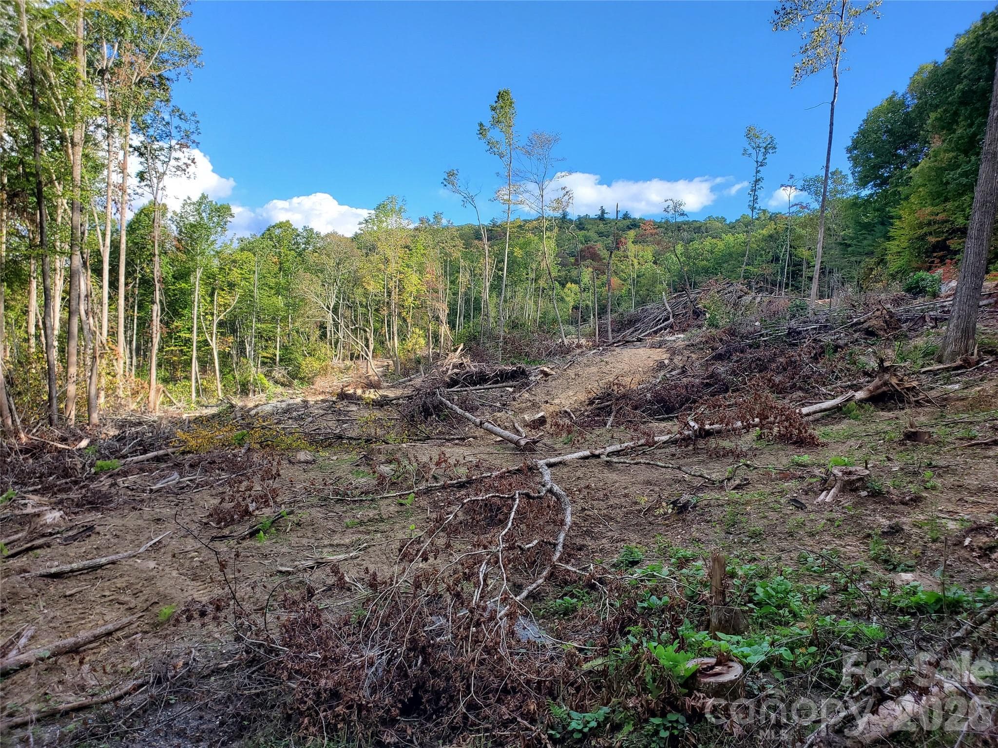 Acreage at 00 Parkwood Hill Road, Spruce Pine, photo 13 of 13