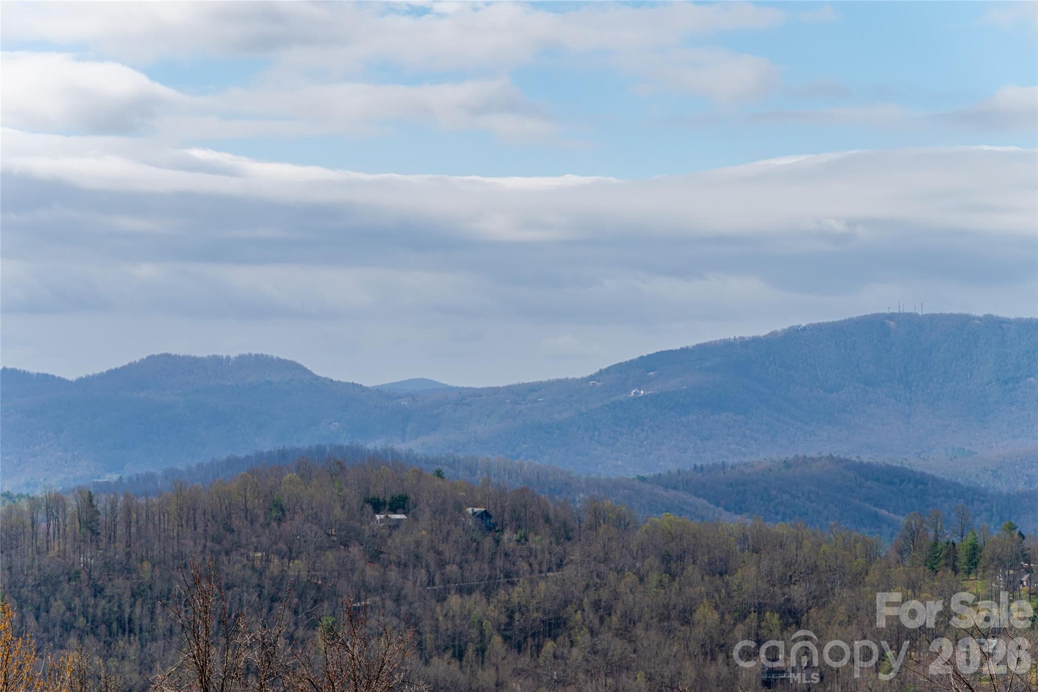 Long range views - Hendersonville