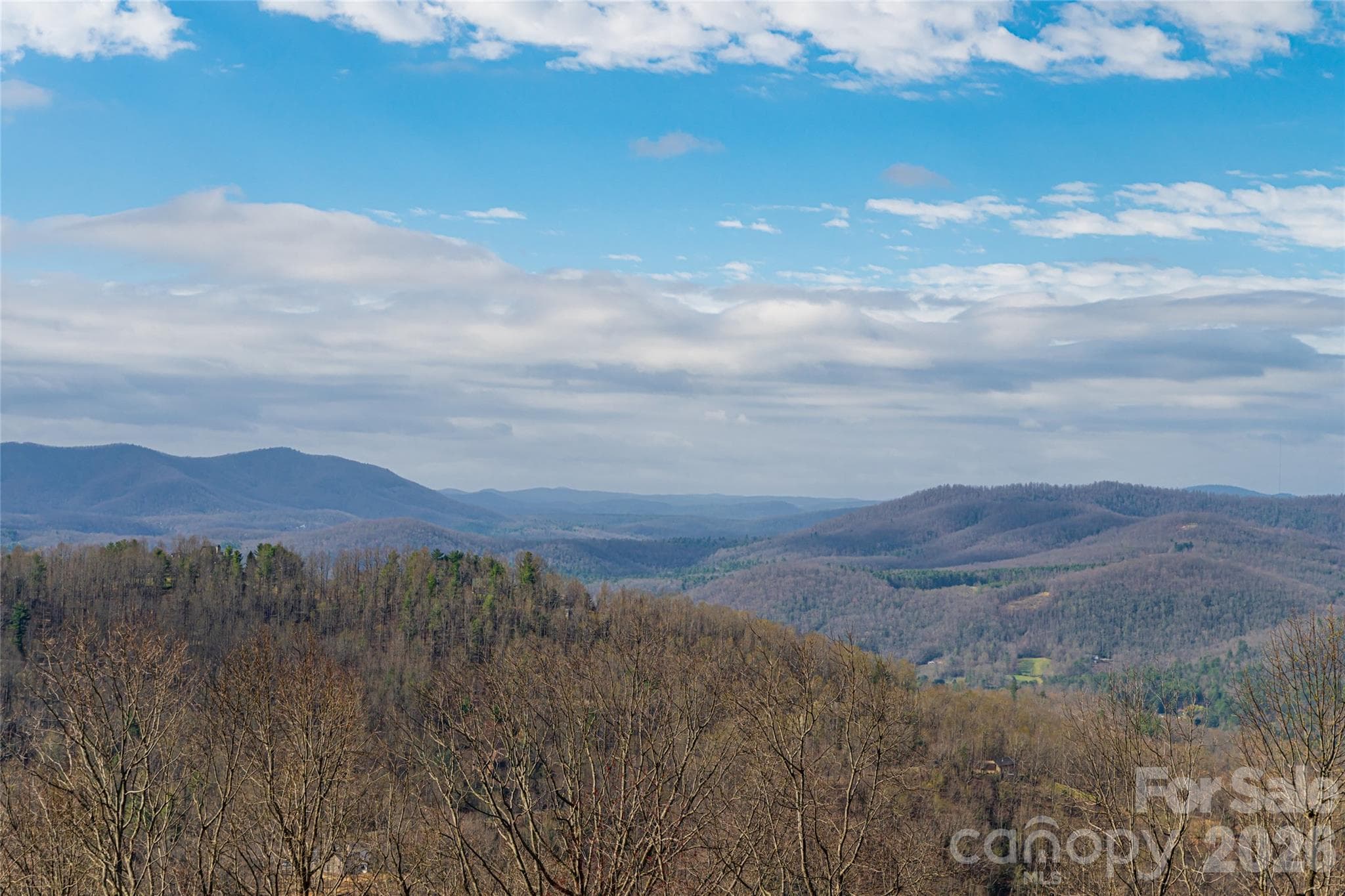 Long range views - Hendersonville
