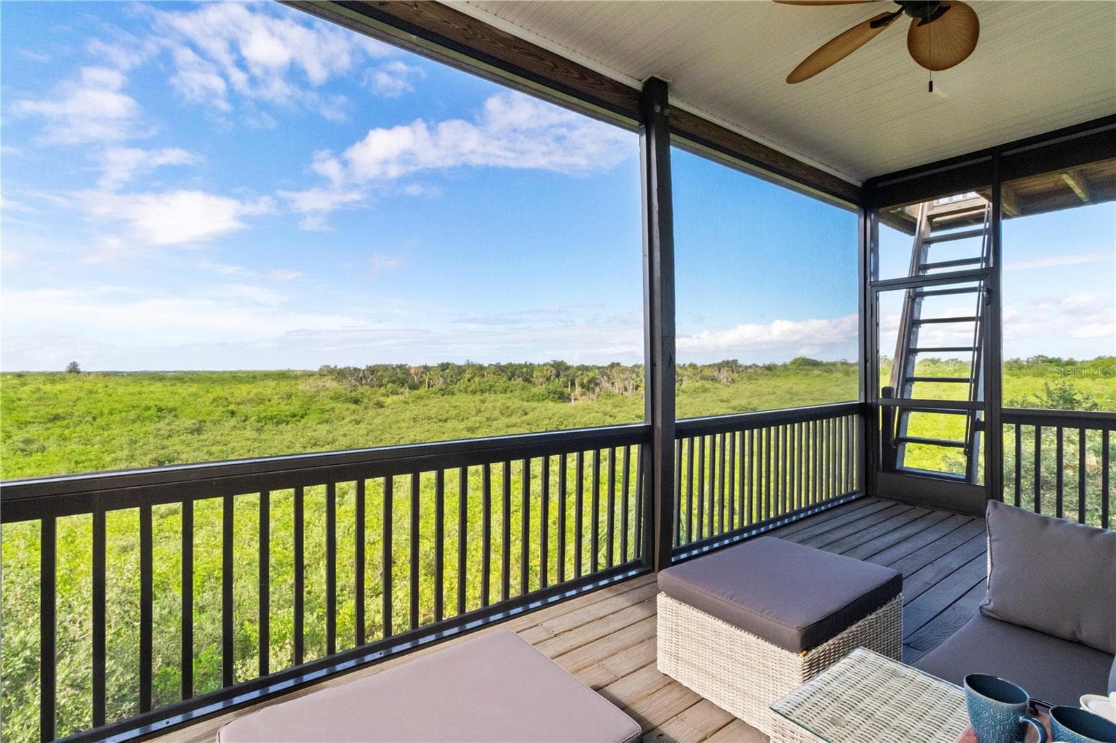 Primary Suite Balcony - 7325 HOLLY RD, TERRA CEIA