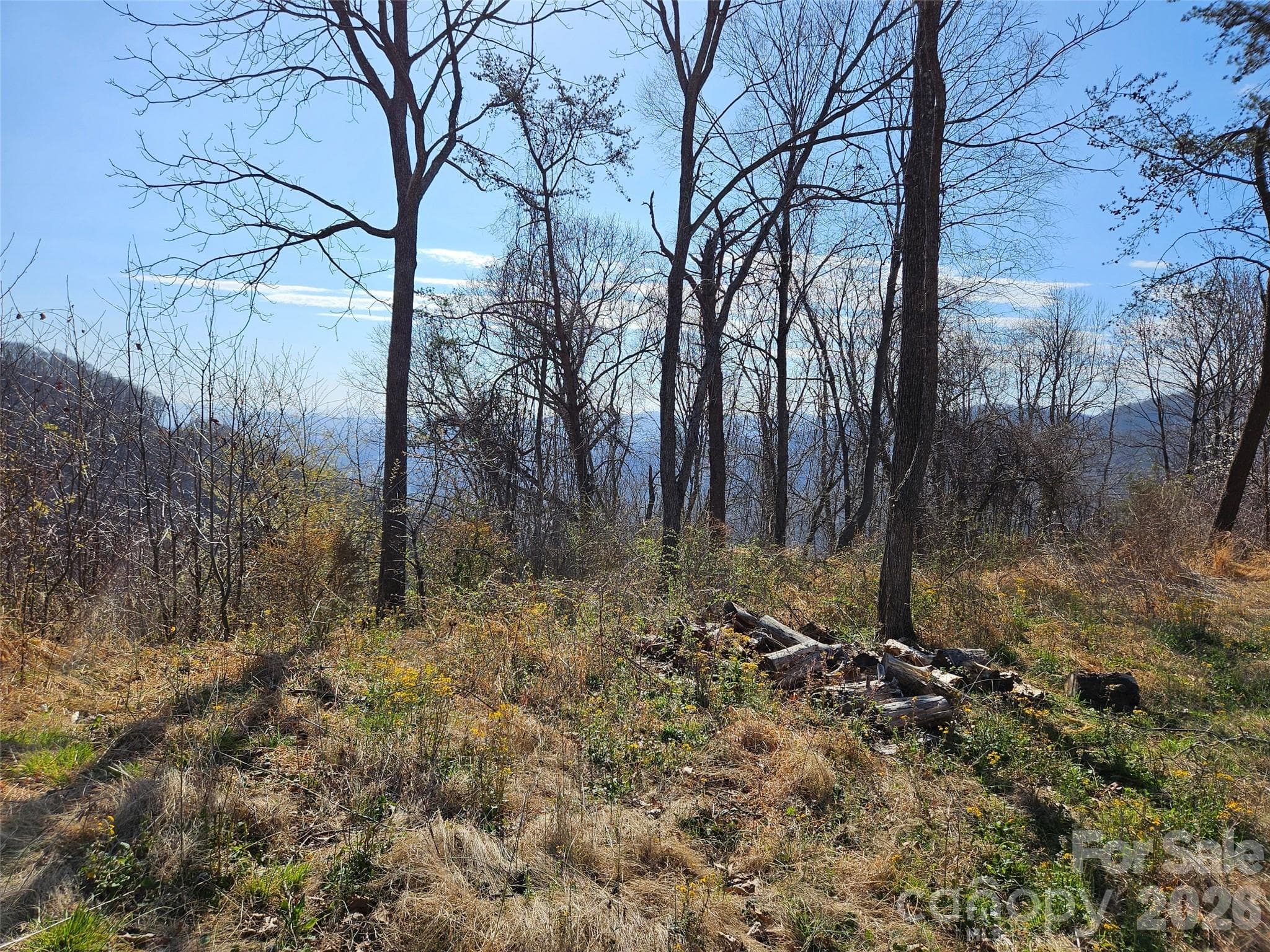 Lot at Canton, photo 5 of 27
