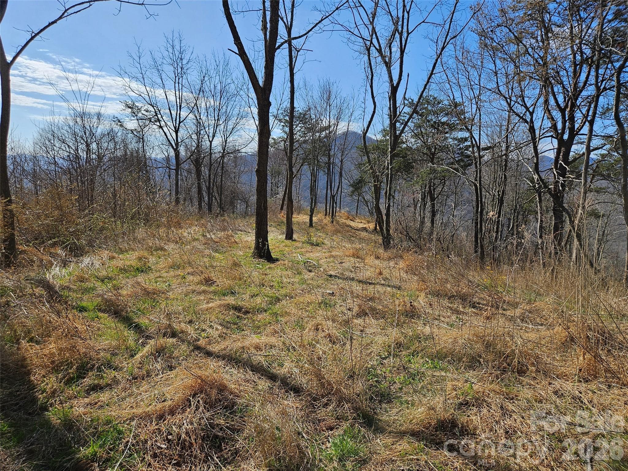 Lot at Canton, photo 6 of 27