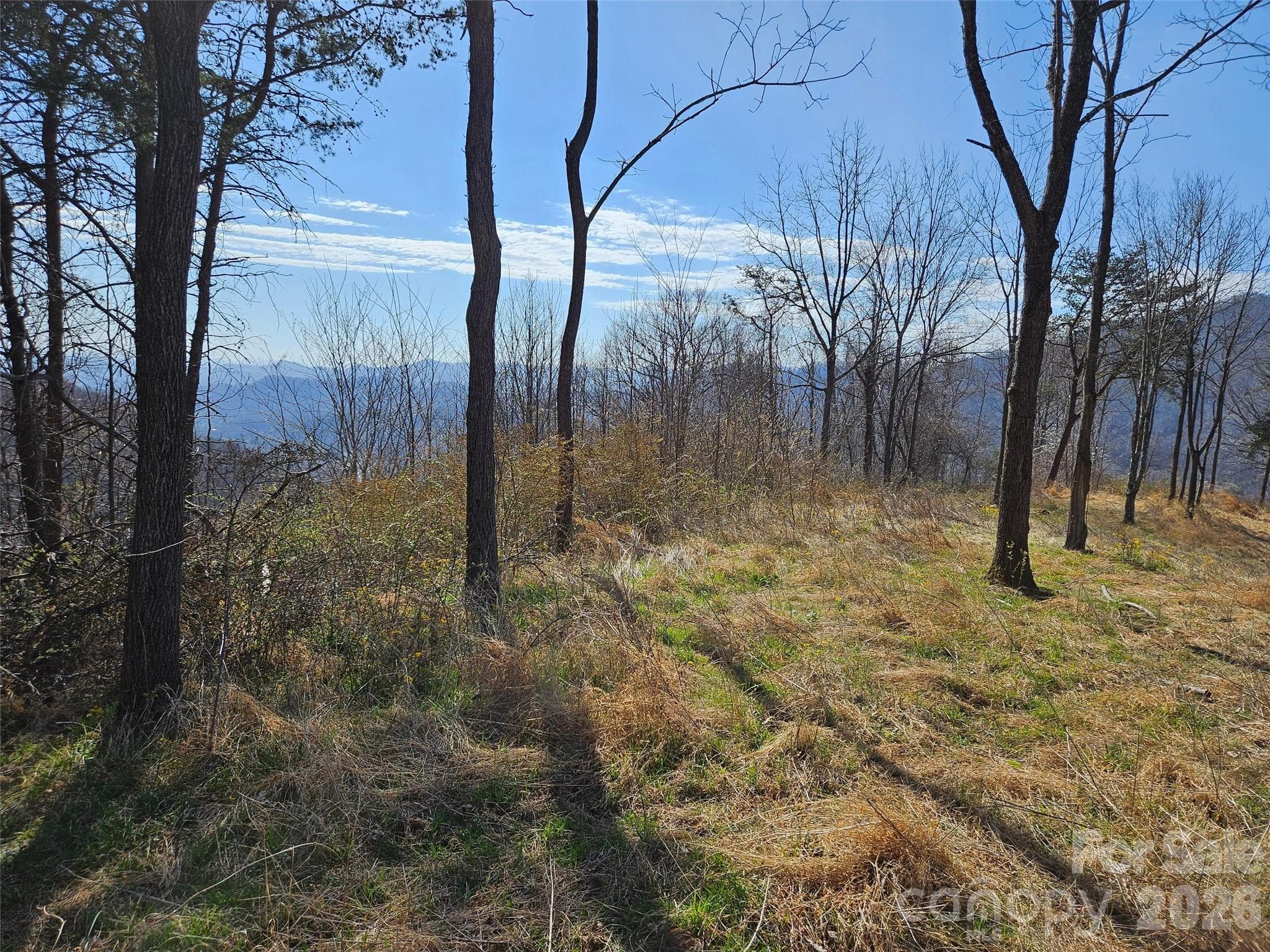 Lot at Canton, photo 7 of 27