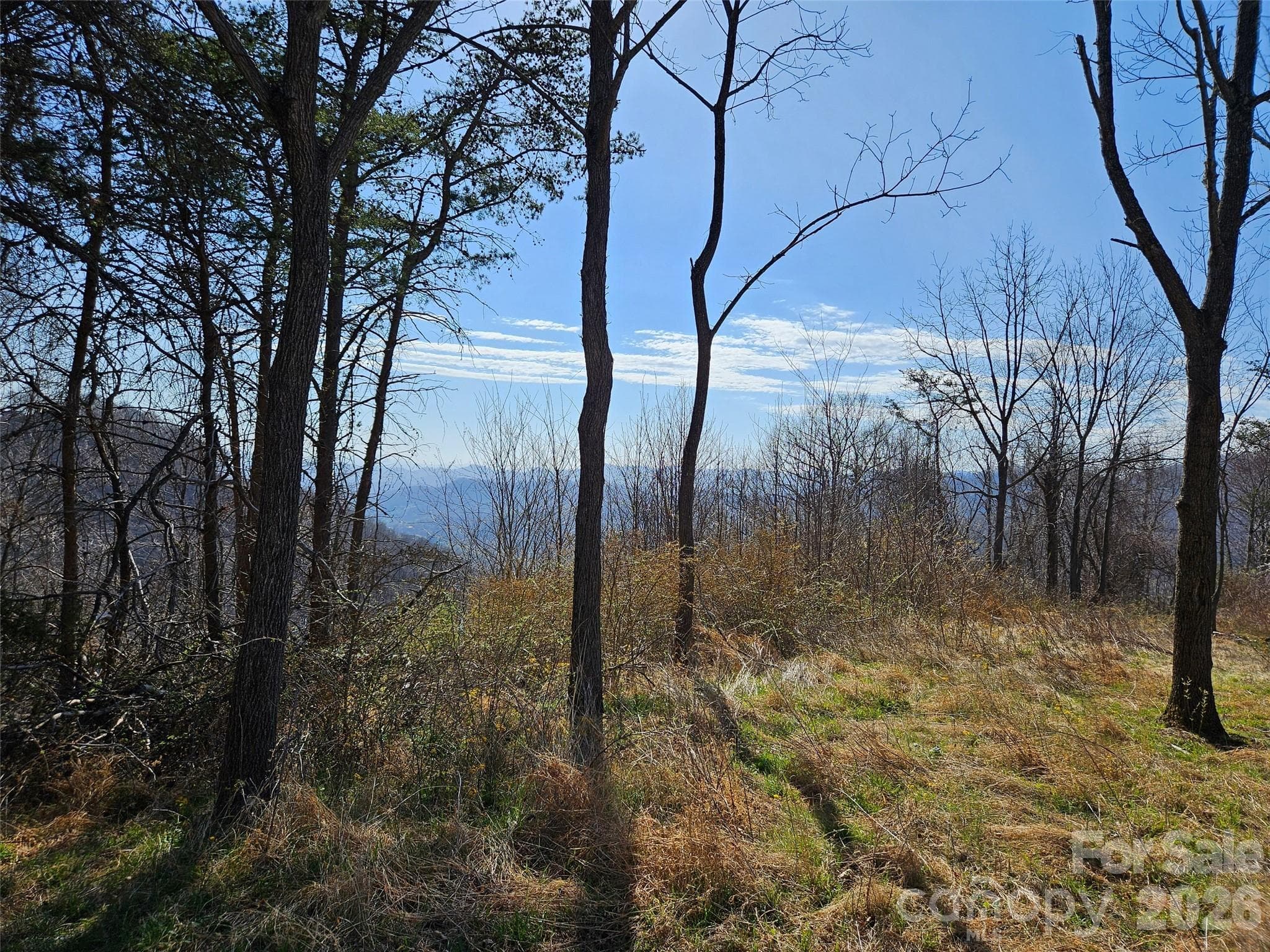 Lot at Canton, photo 8 of 27