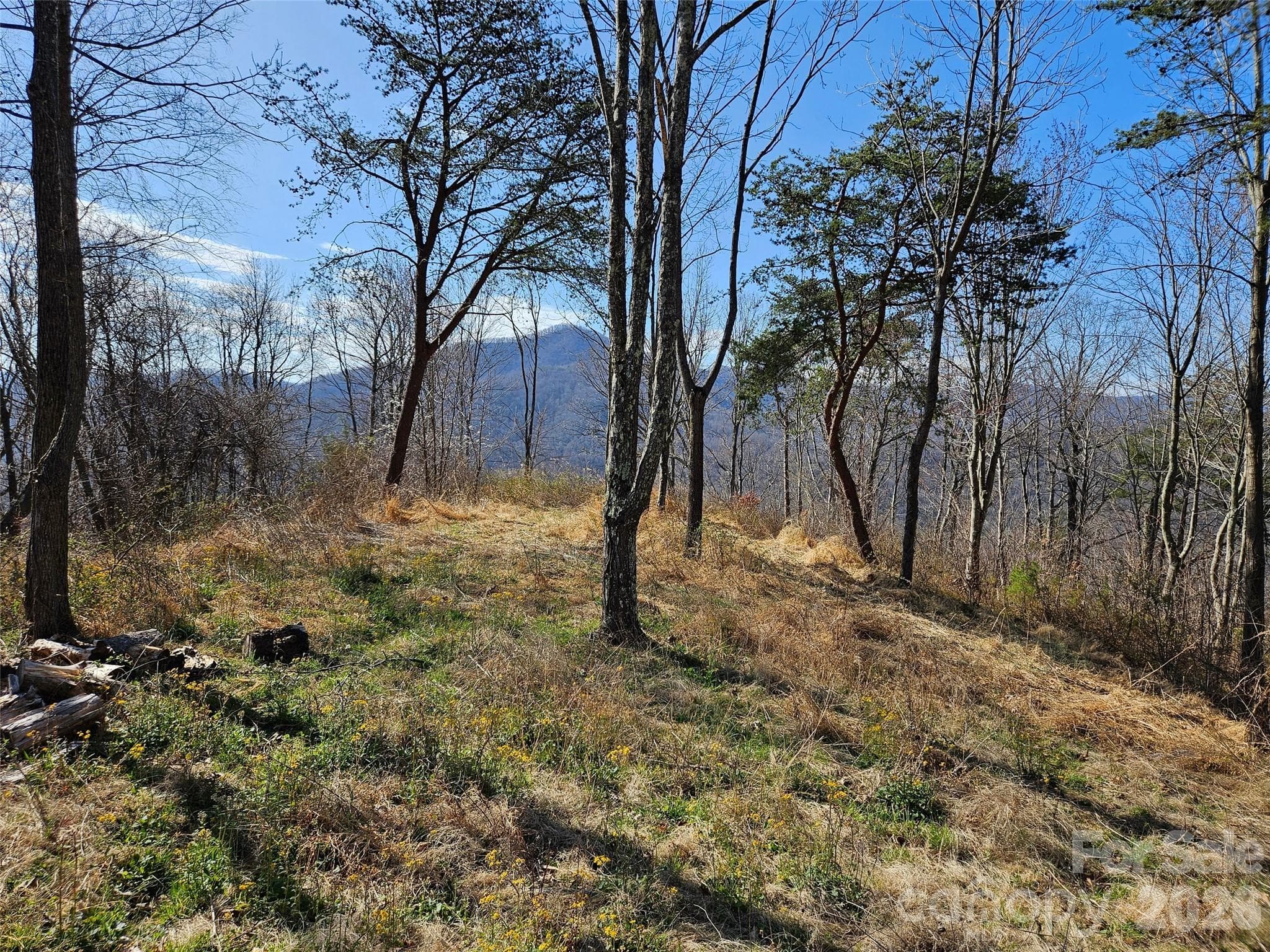 Lot at Canton, photo 9 of 27