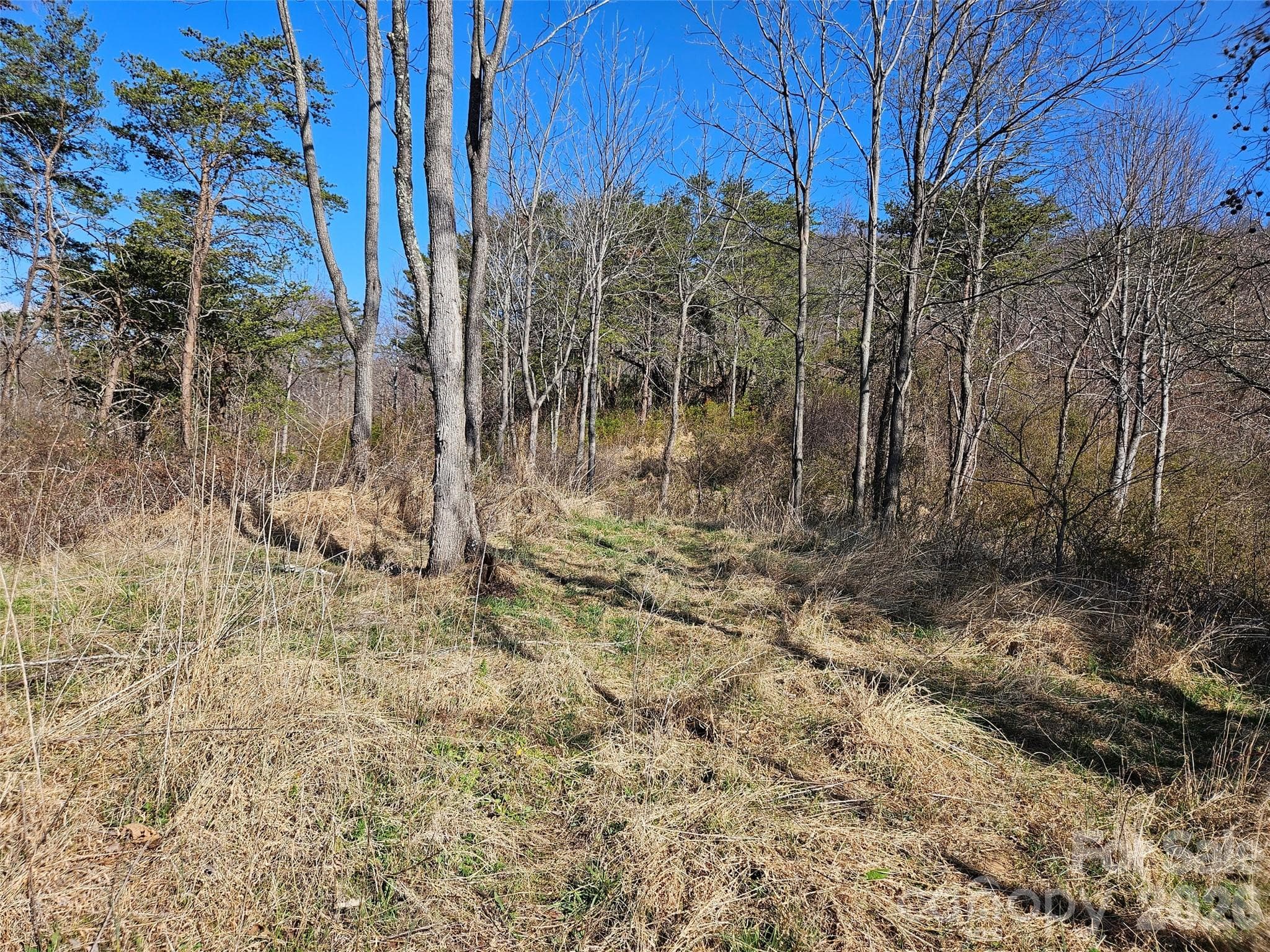 Lot at Canton, photo 10 of 27