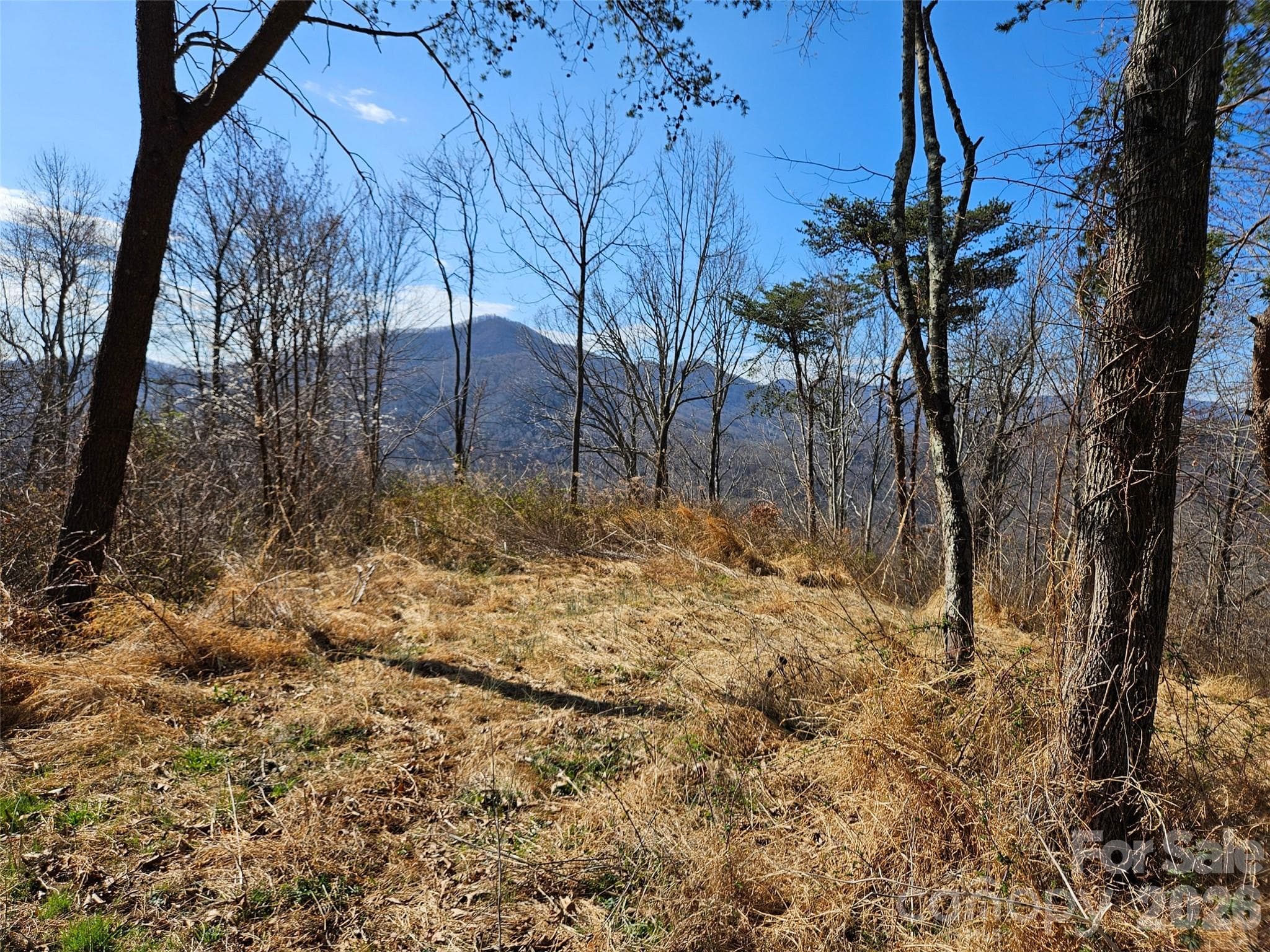 Lot at Canton, photo 12 of 27