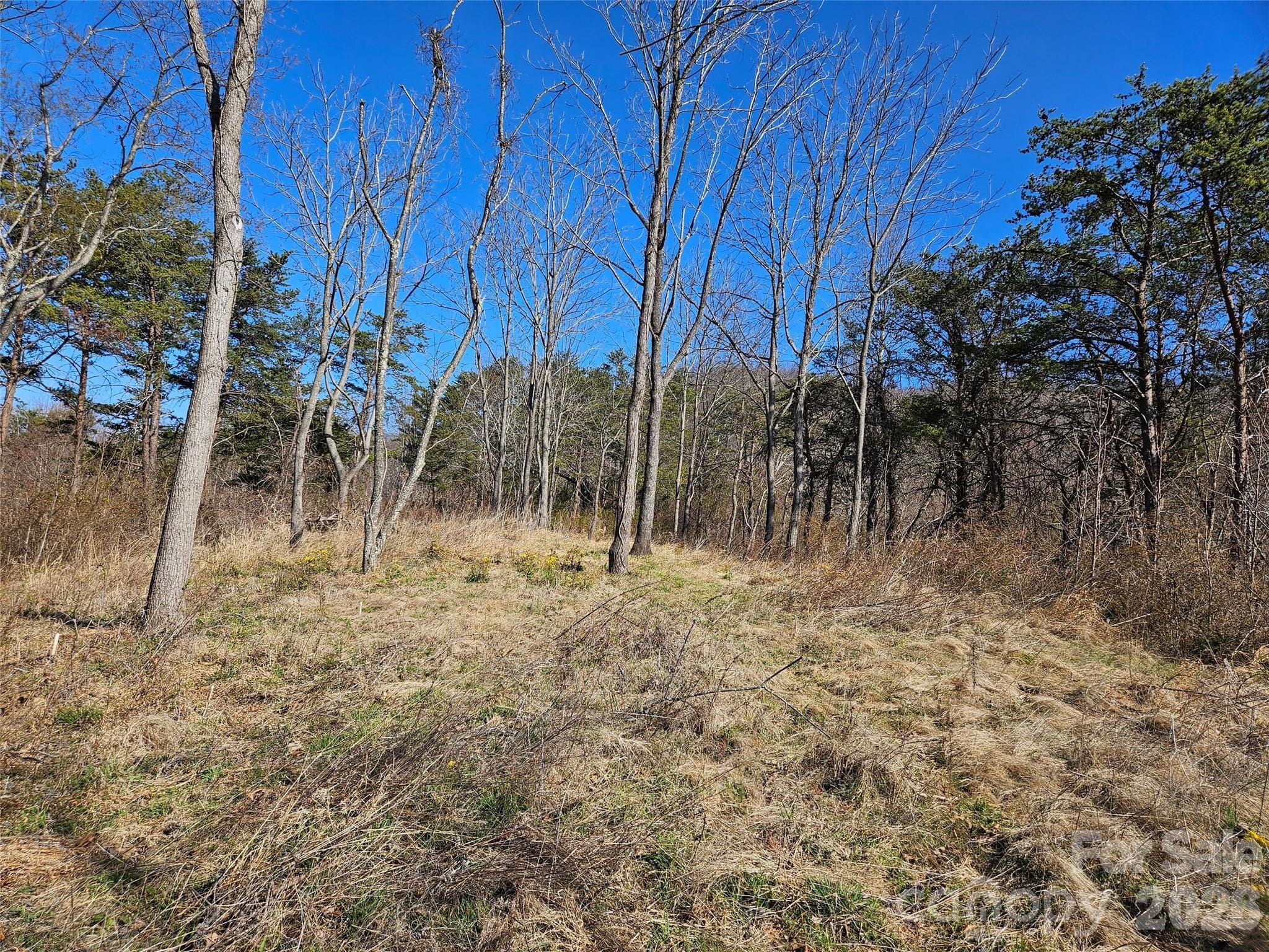 Lot at Canton, photo 13 of 27