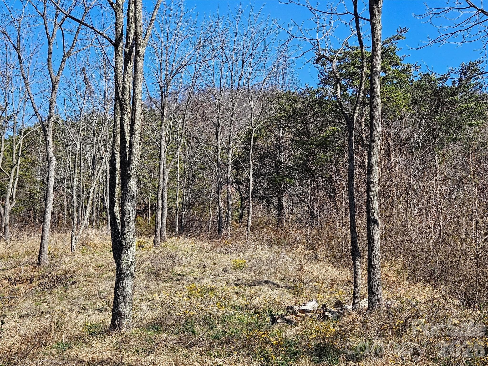 Lot at Canton, photo 14 of 27