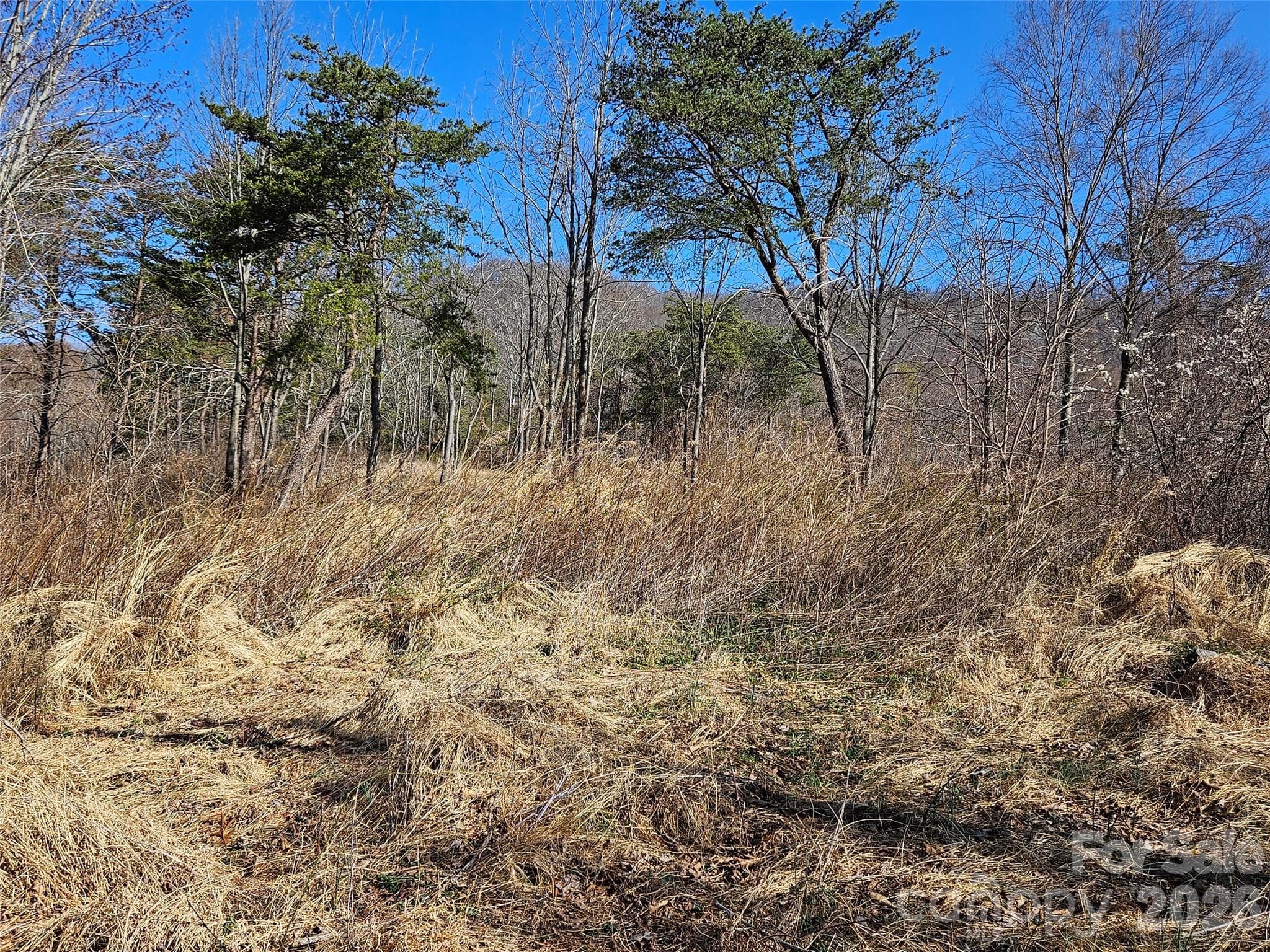 Lot at Canton, photo 15 of 27