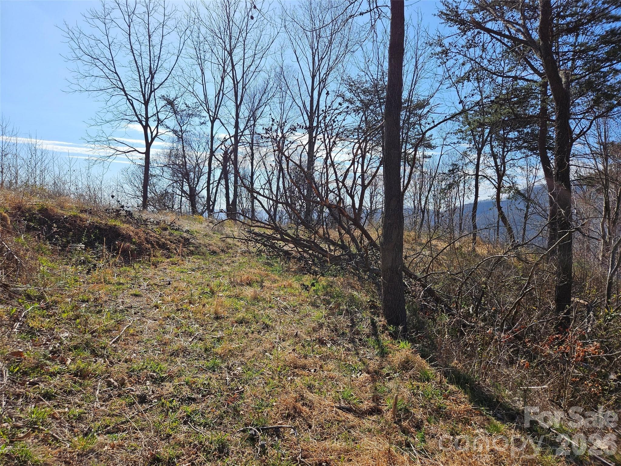 Lot at Canton, photo 17 of 27