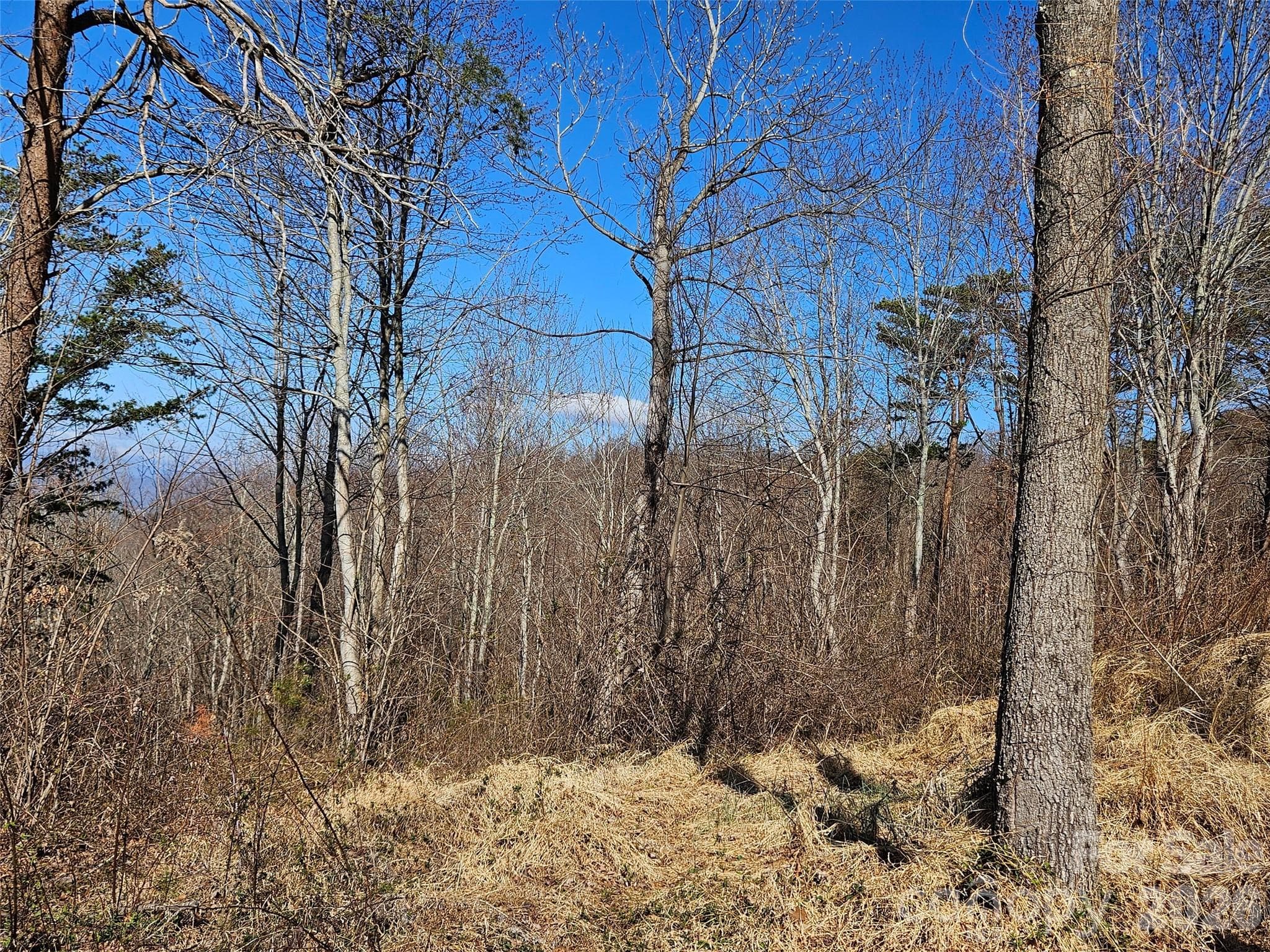 Lot at Canton, photo 19 of 27