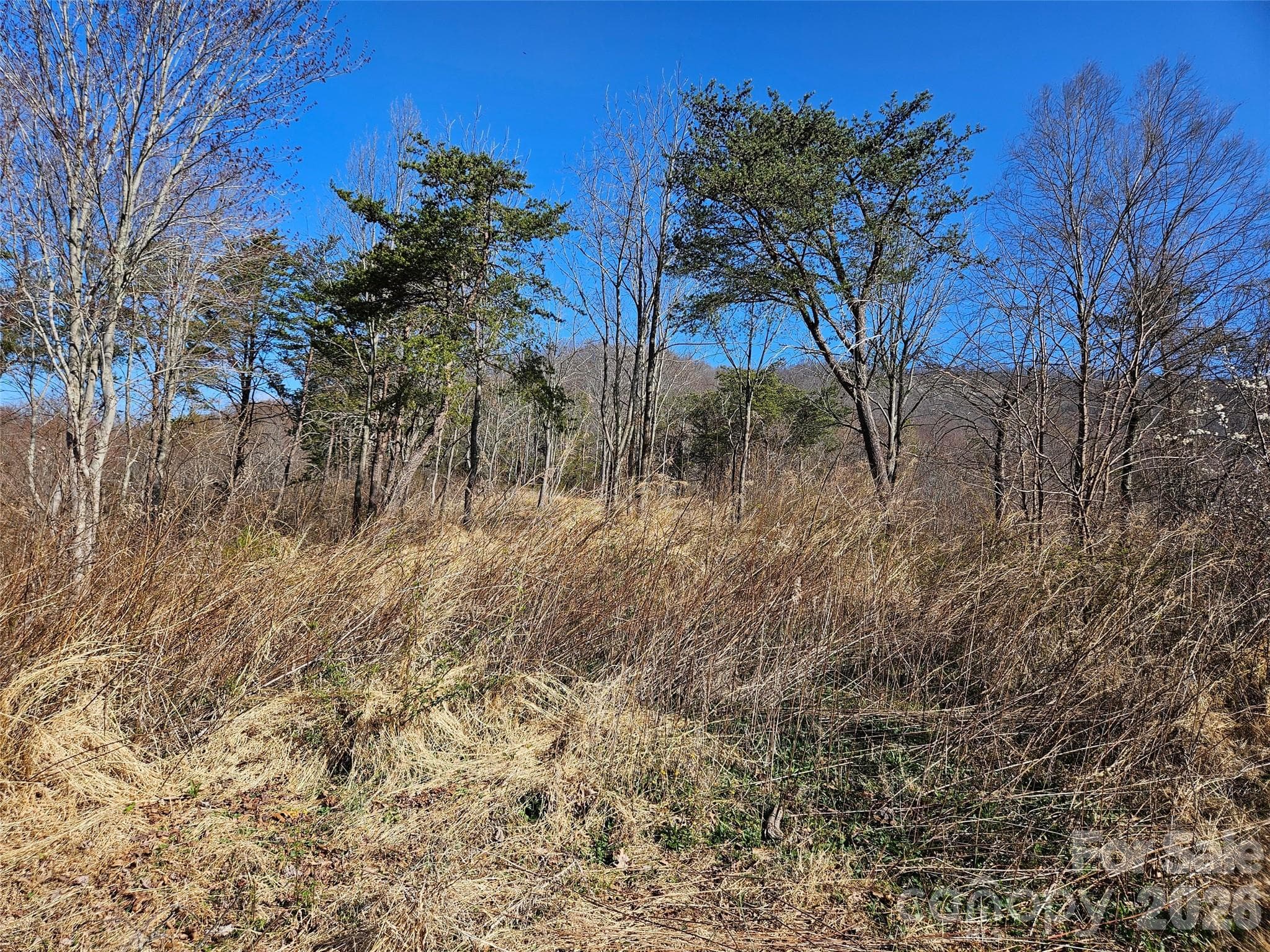Lot at Canton, photo 23 of 27