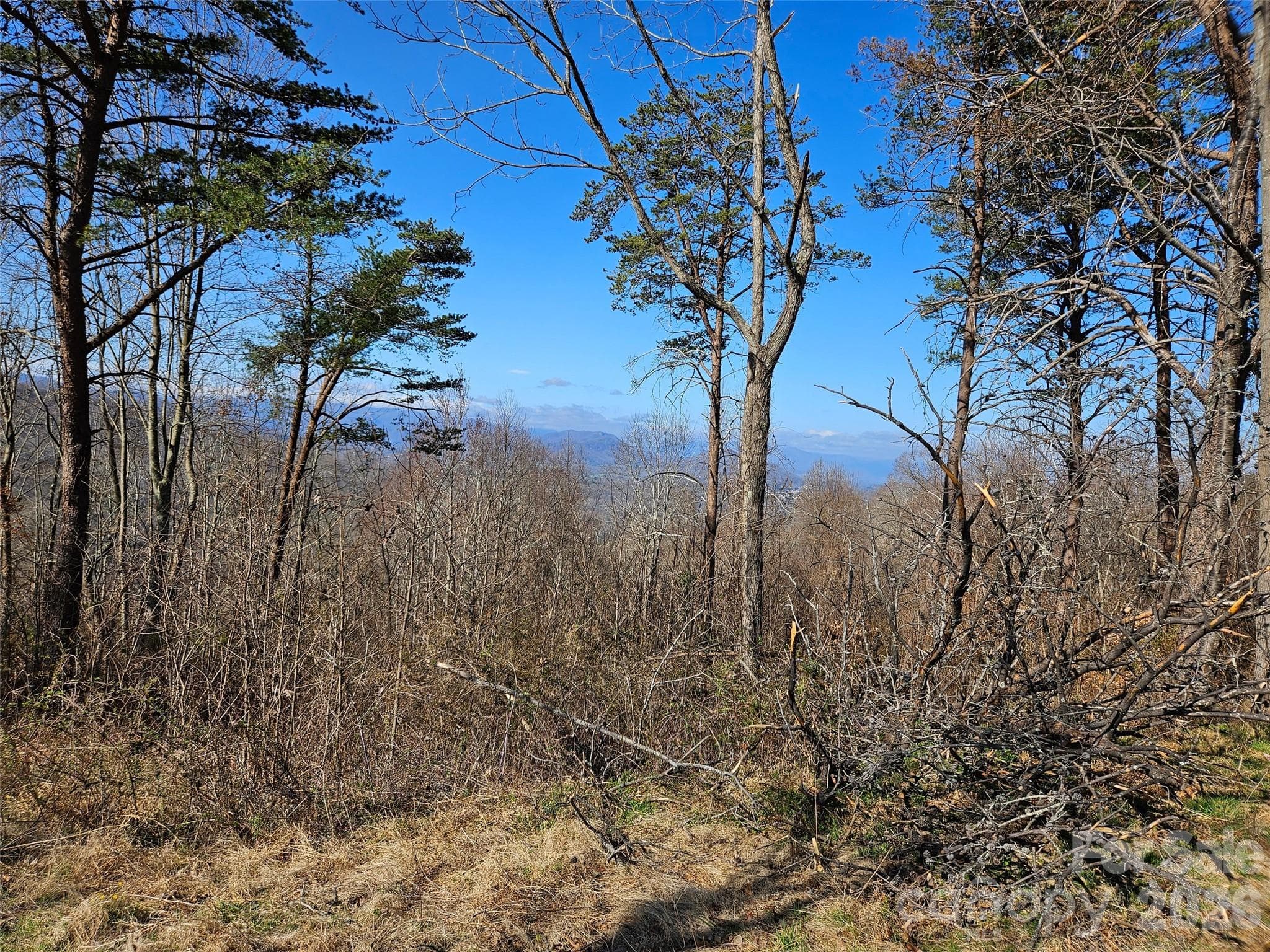 Lot at Canton, photo 24 of 27