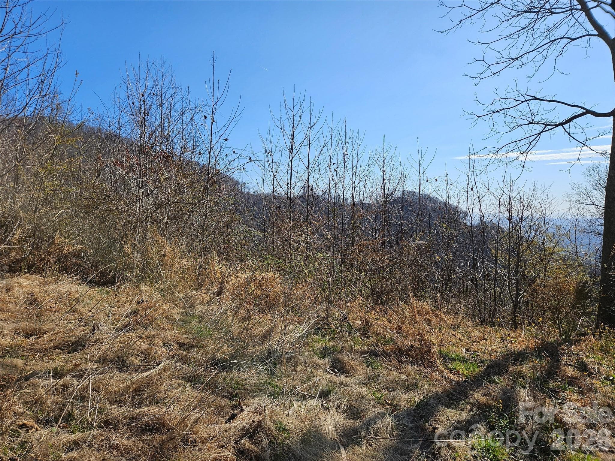 Lot at Canton, photo 25 of 27