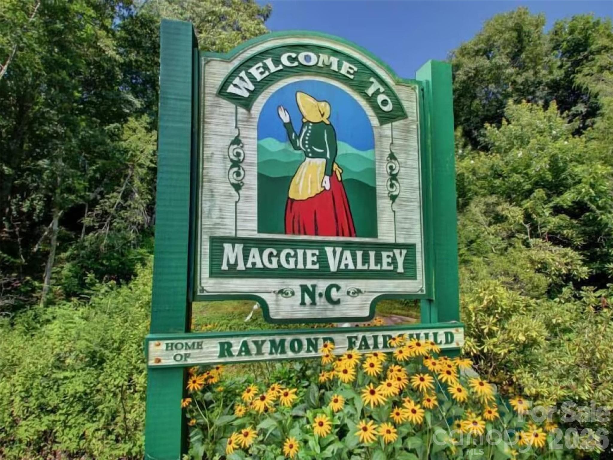 Single Family Residence at 505 Middle Top Loop, Maggie Valley, photo 16 of 47