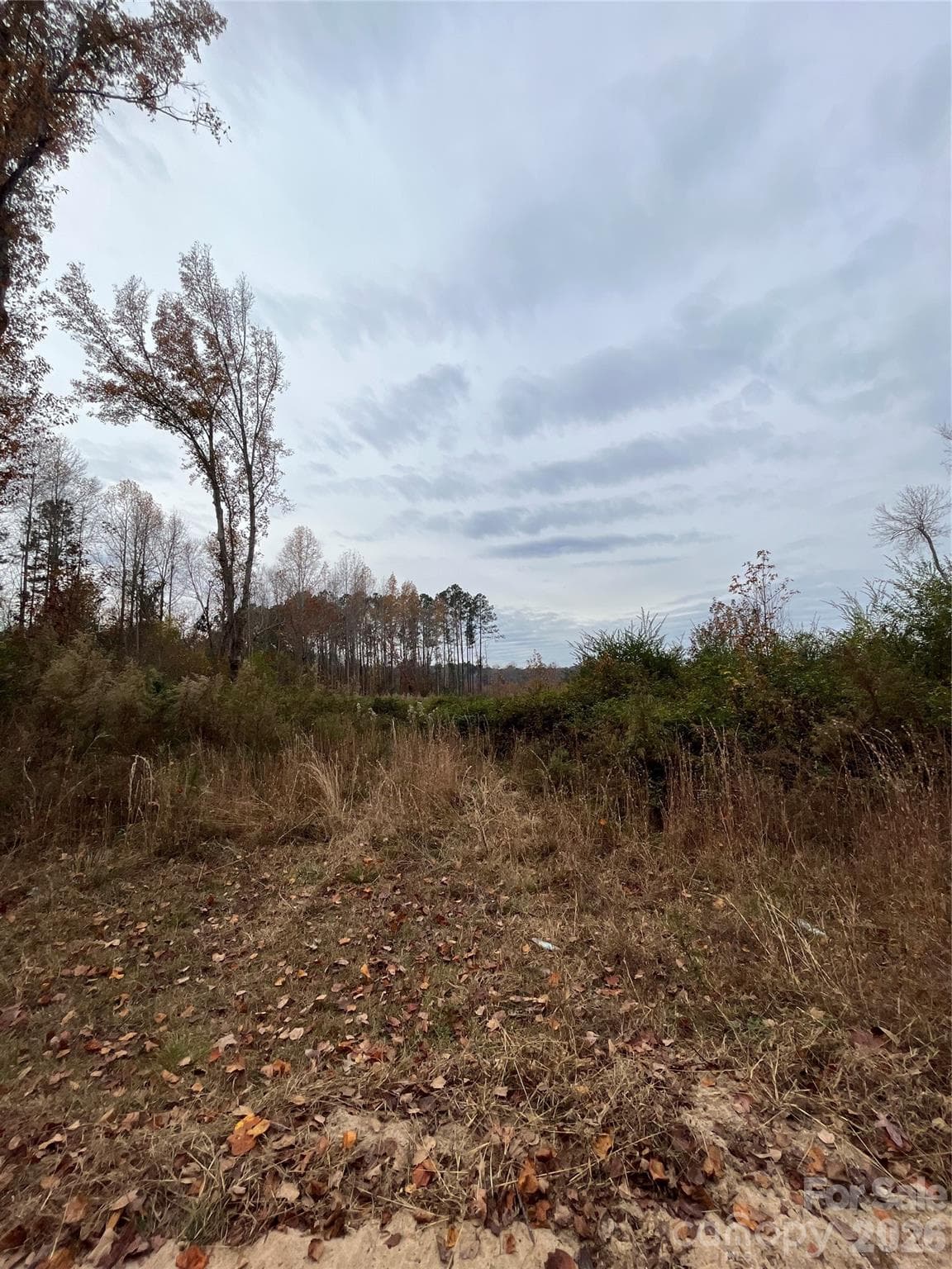 Acreage at TBD Wire 2 Road, Cheraw, photo 2 of 9