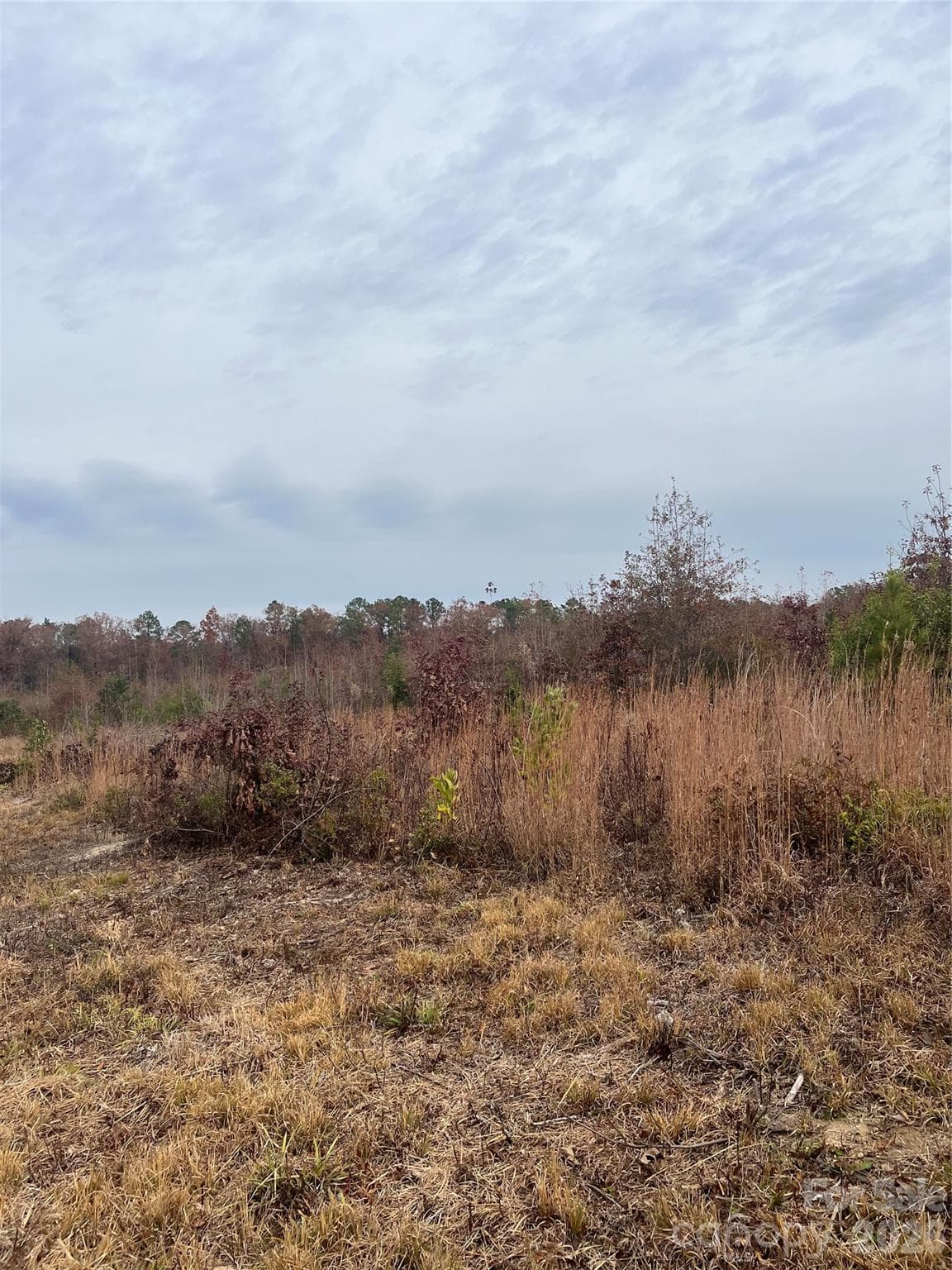 Acreage at TBD Wire 2 Road, Cheraw, photo 9 of 9