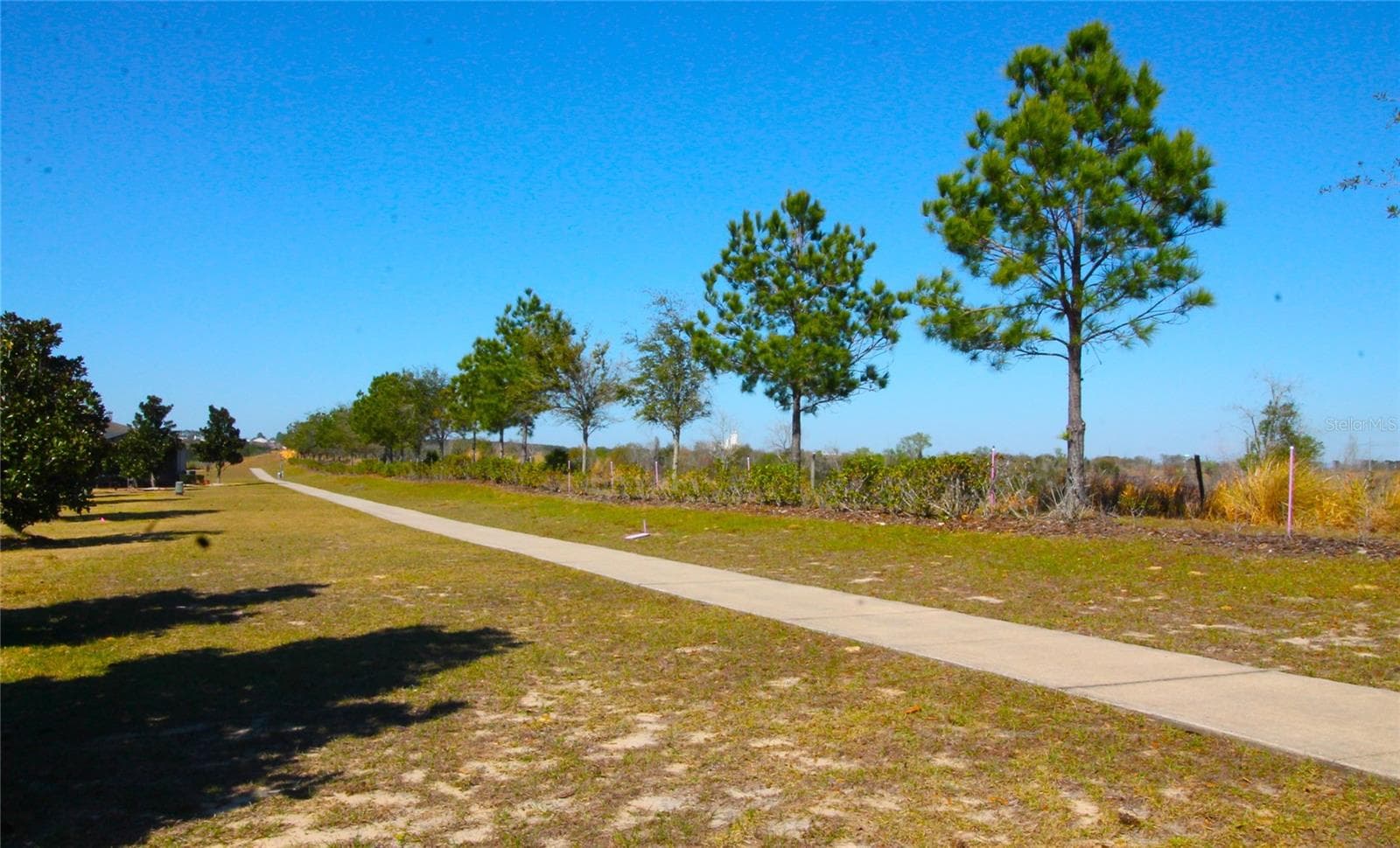 Walking Trail - 3752 QUAINT LN, CLERMONT