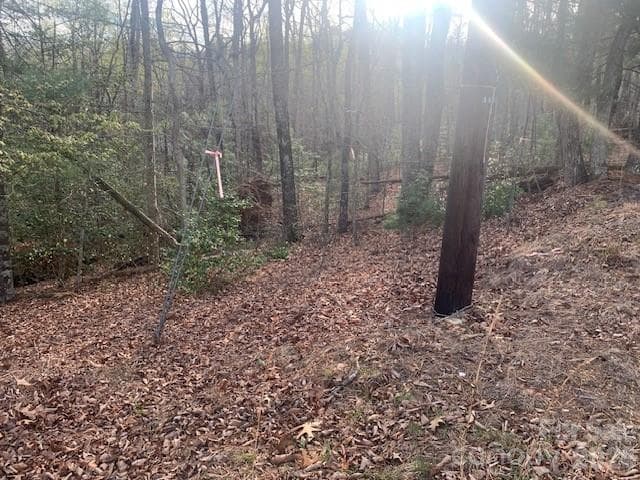Unimproved Commercial at 1.0AC HOLBERT COVE Road, Saluda, photo 9 of 9