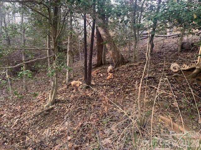 Acreage at 7.67 AC. HOLBERT COVE Road, Saluda, photo 2 of 19