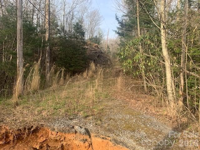 Acreage at 7.67 AC. HOLBERT COVE Road, Saluda, photo 3 of 19