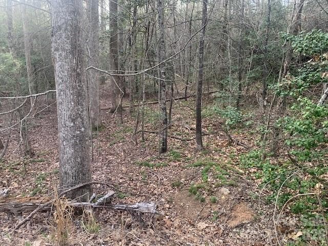 Acreage at 7.67 AC. HOLBERT COVE Road, Saluda, photo 6 of 19
