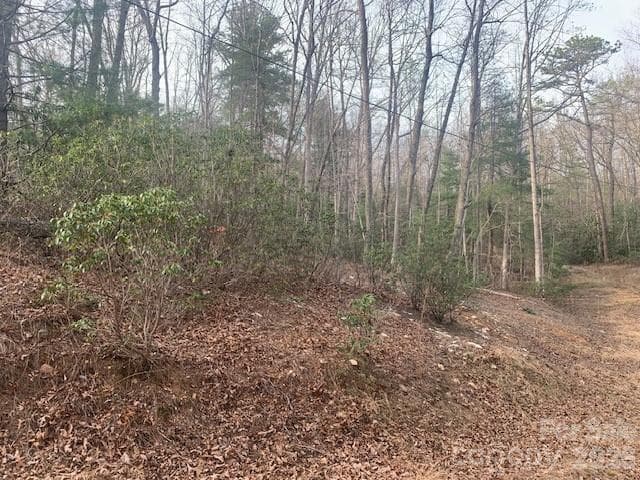 Acreage at 7.67 AC. HOLBERT COVE Road, Saluda, photo 8 of 19