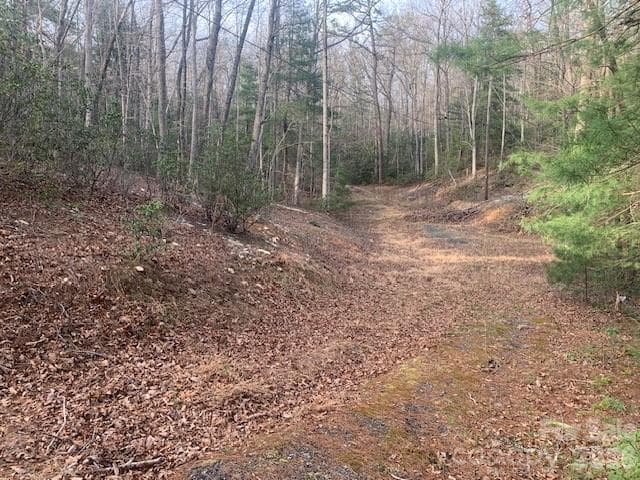 Acreage at 7.67 AC. HOLBERT COVE Road, Saluda, photo 9 of 19
