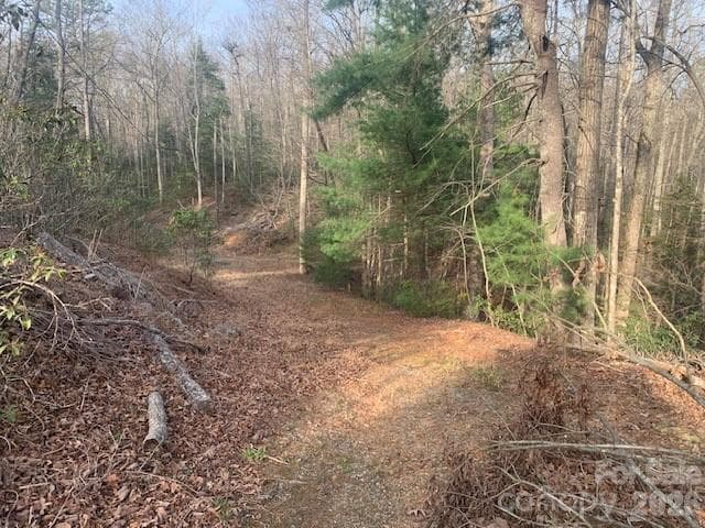 Acreage at 7.67 AC. HOLBERT COVE Road, Saluda, photo 10 of 19