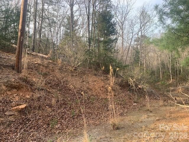 Acreage at 7.67 AC. HOLBERT COVE Road, Saluda, photo 11 of 19