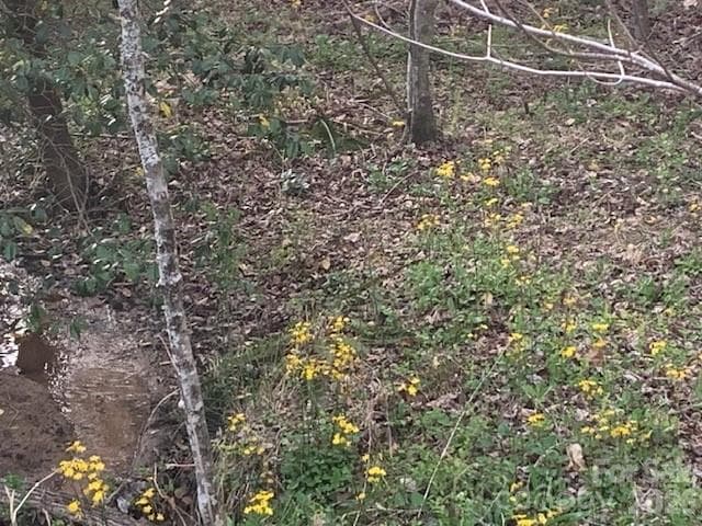Acreage at 7.67 AC. HOLBERT COVE Road, Saluda, photo 13 of 19
