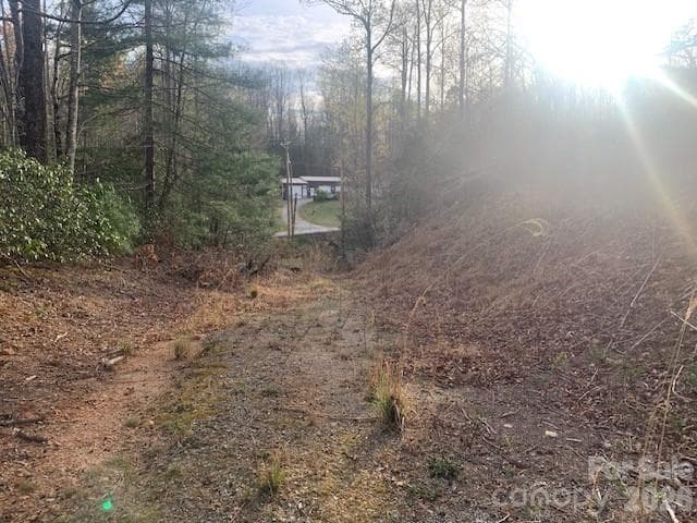 Acreage at 7.67 AC. HOLBERT COVE Road, Saluda, photo 15 of 19