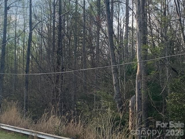 Acreage at 7.67 AC. HOLBERT COVE Road, Saluda, photo 19 of 19