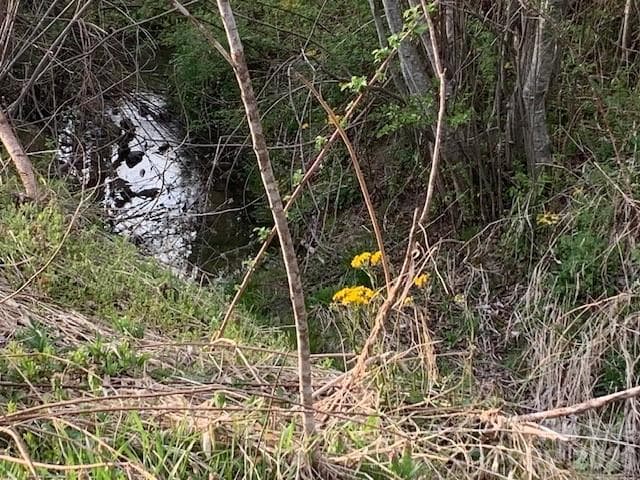 Unimproved Commercial at 7.33AC COM CHIMNEY ROCK Highway, Edneyville, photo 6 of 6