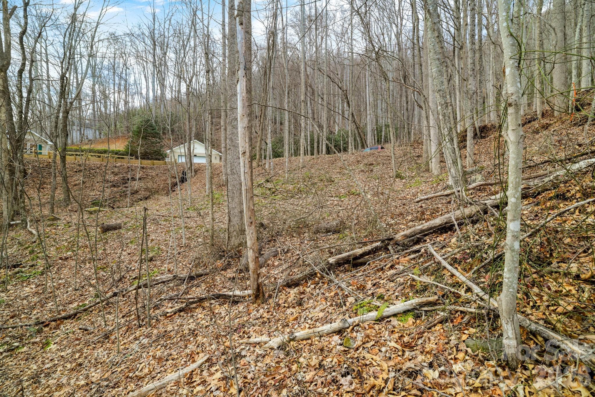 Lot at Maggie Valley, photo 2 of 16