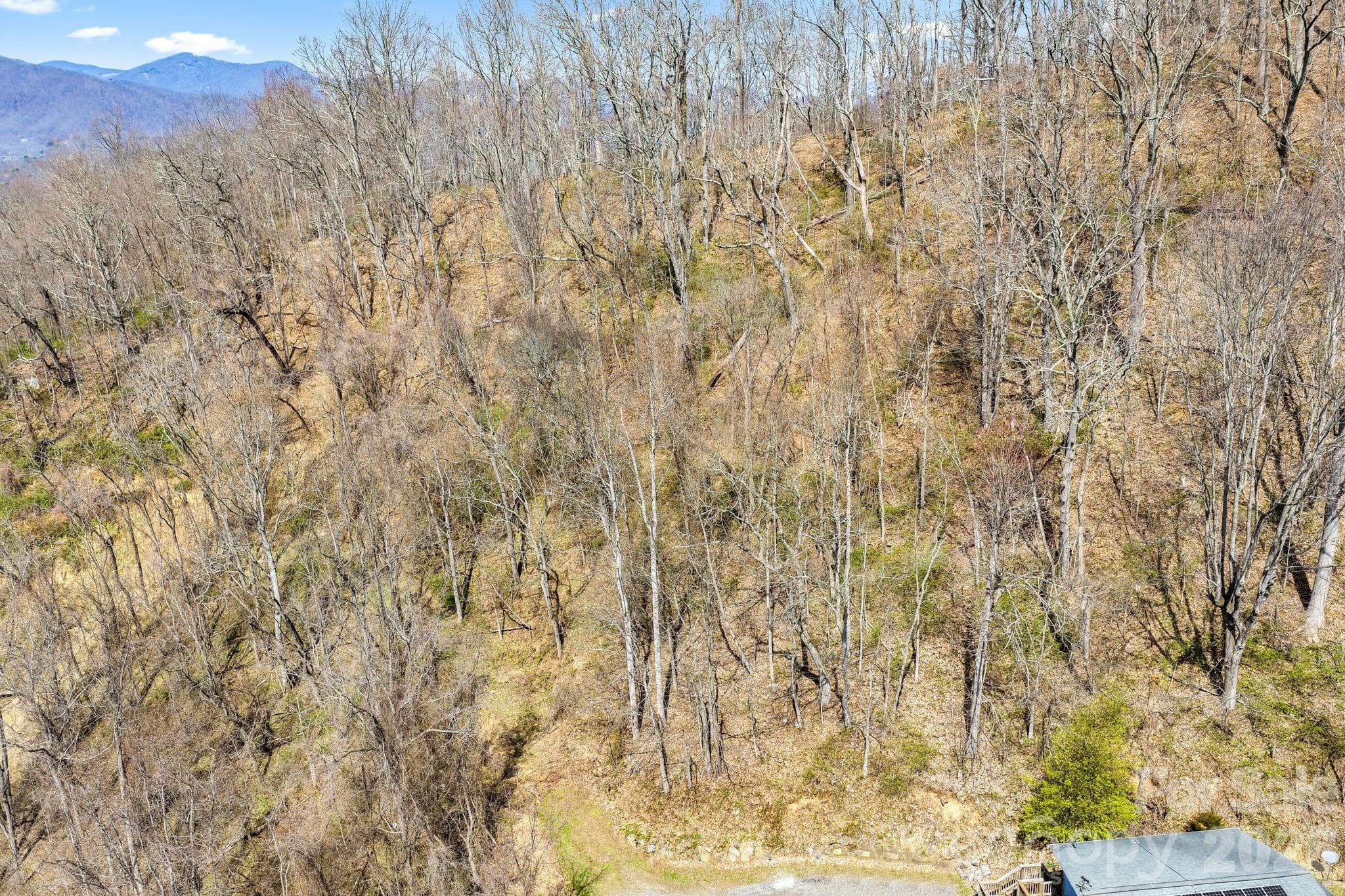 Lot at Waynesville, photo 3 of 6