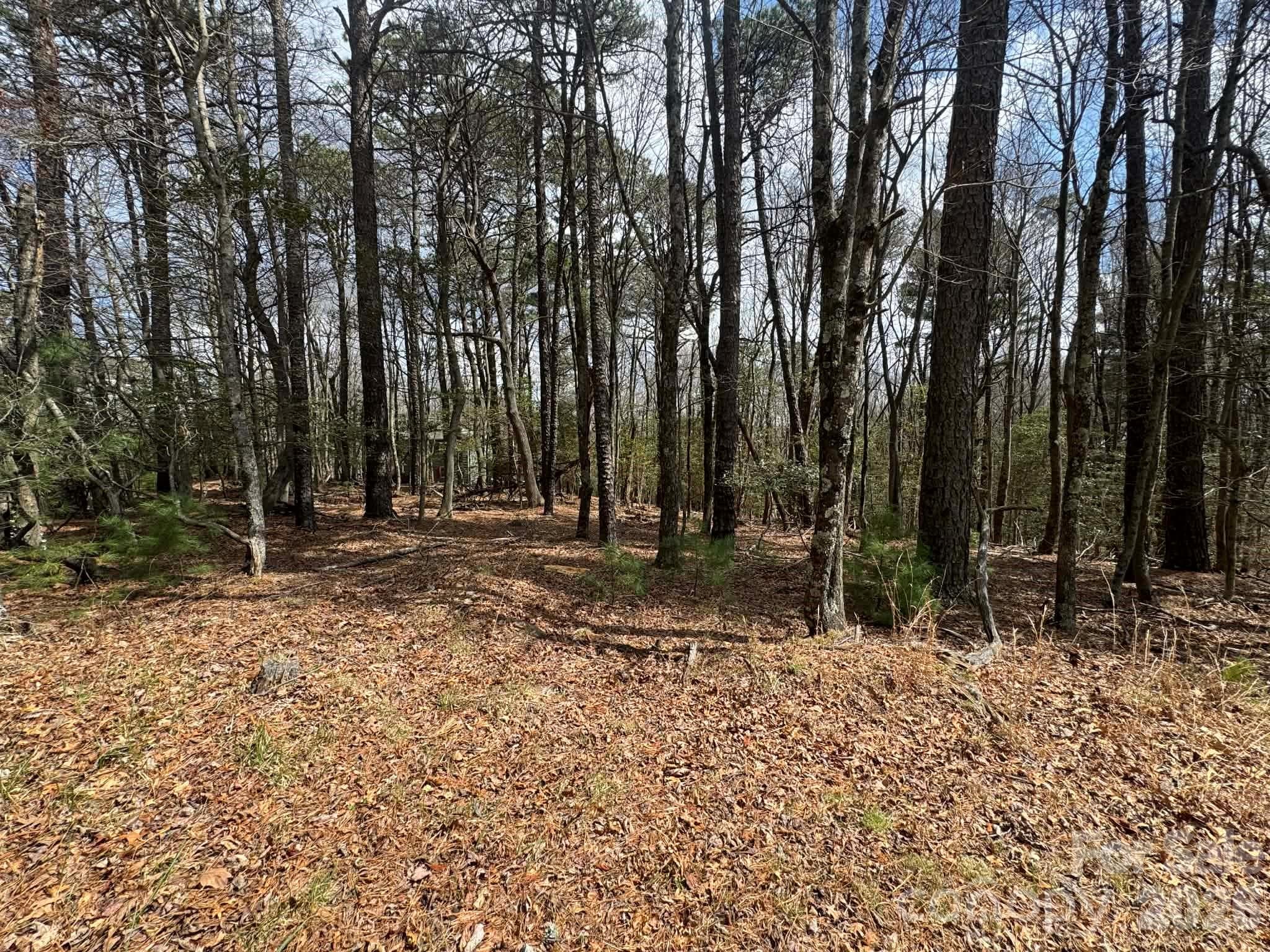 Lot at TBD Ward Circle Drive, Sparta, photo 5 of 21