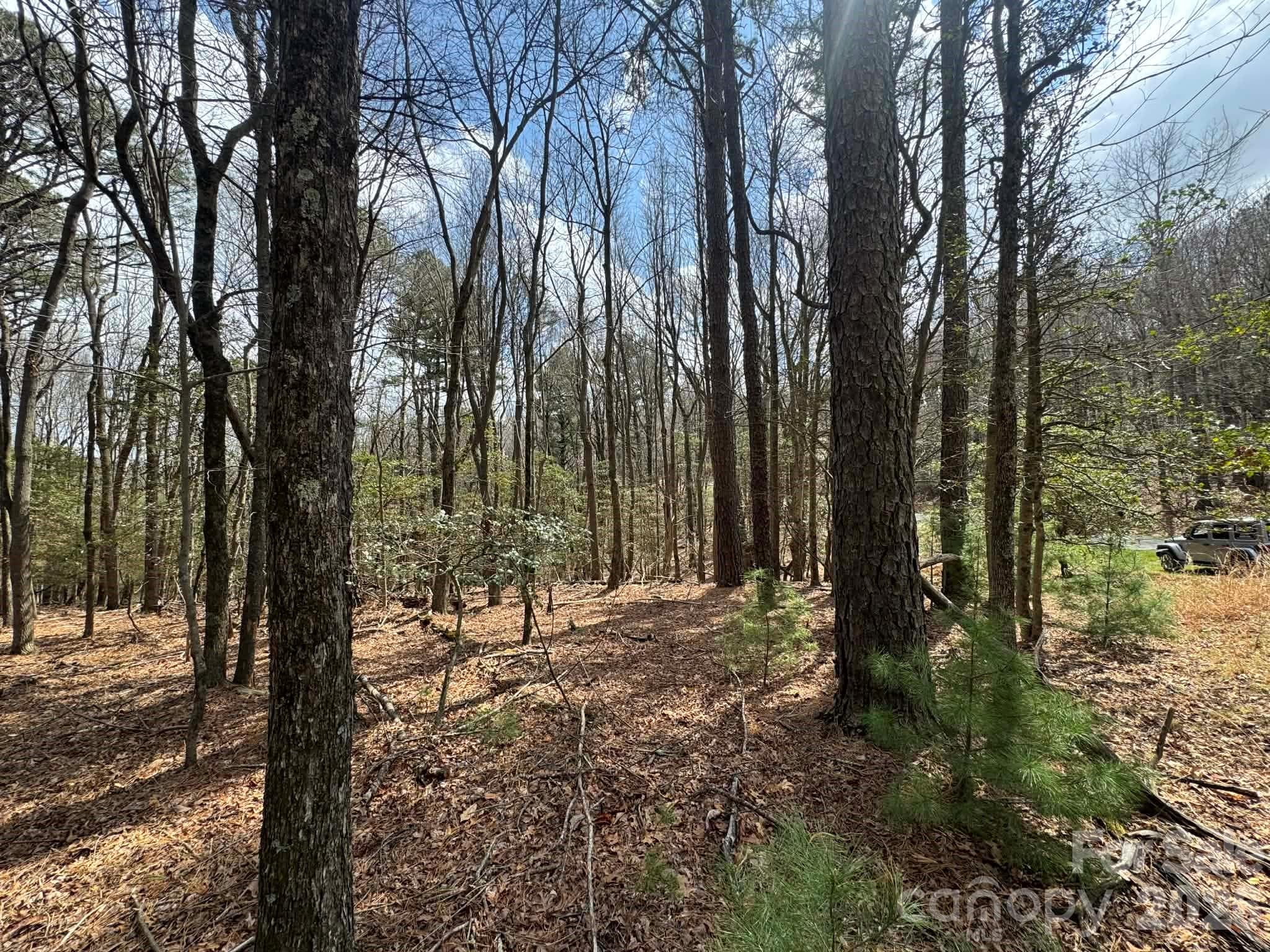 Lot at TBD Ward Circle Drive, Sparta, photo 6 of 21