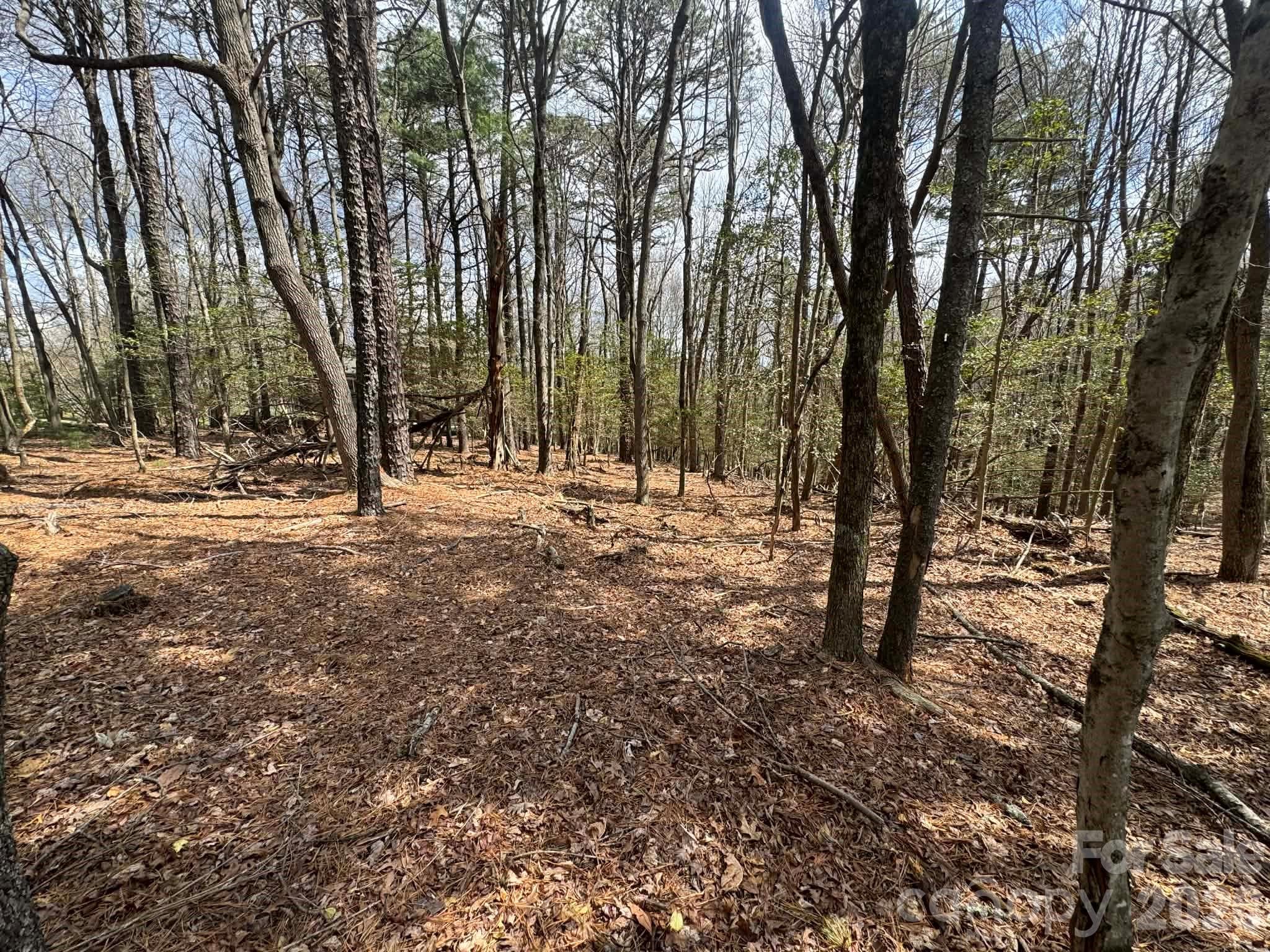 Lot at TBD Ward Circle Drive, Sparta, photo 7 of 21