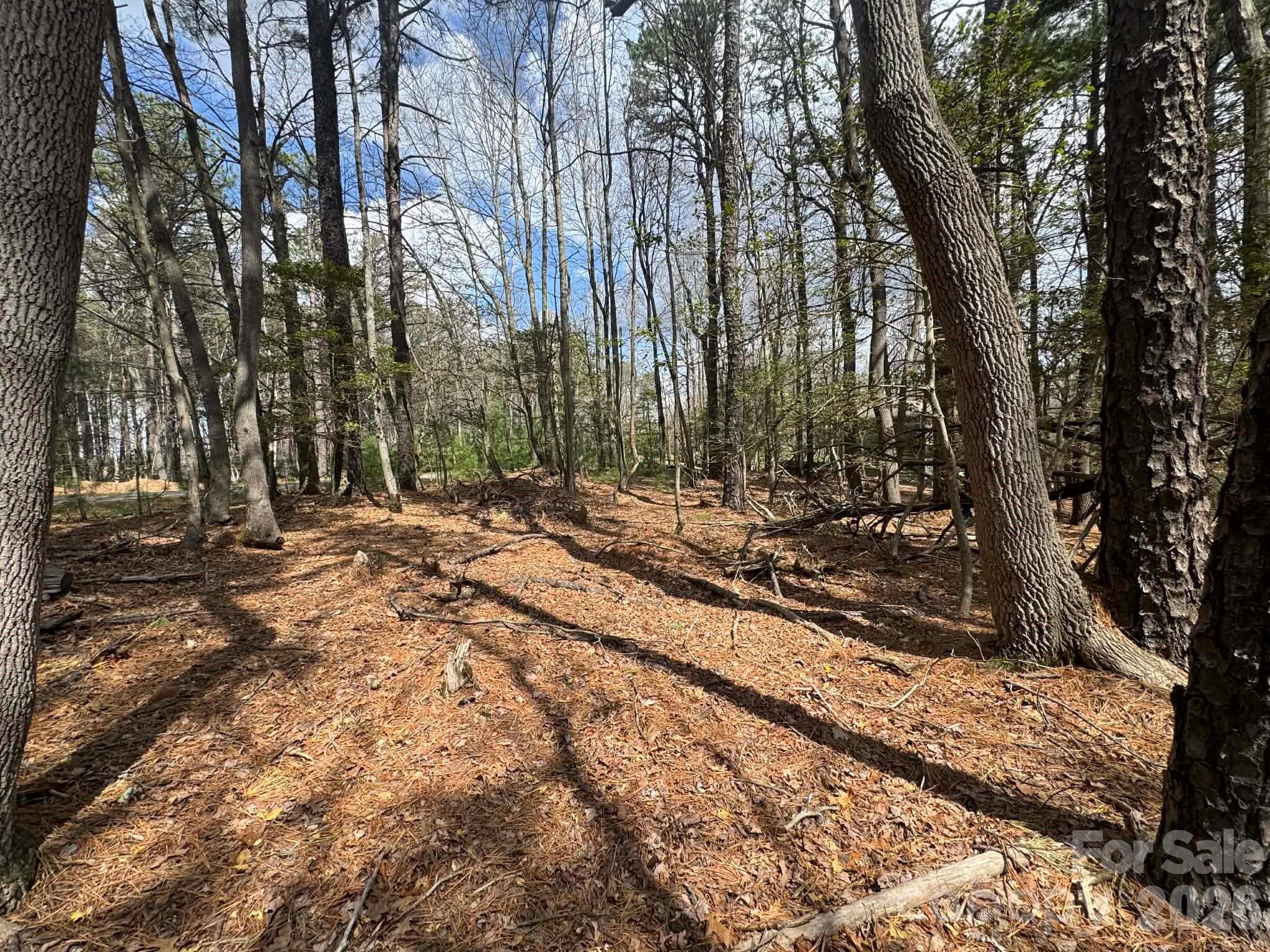 Lot at TBD Ward Circle Drive, Sparta, photo 8 of 21