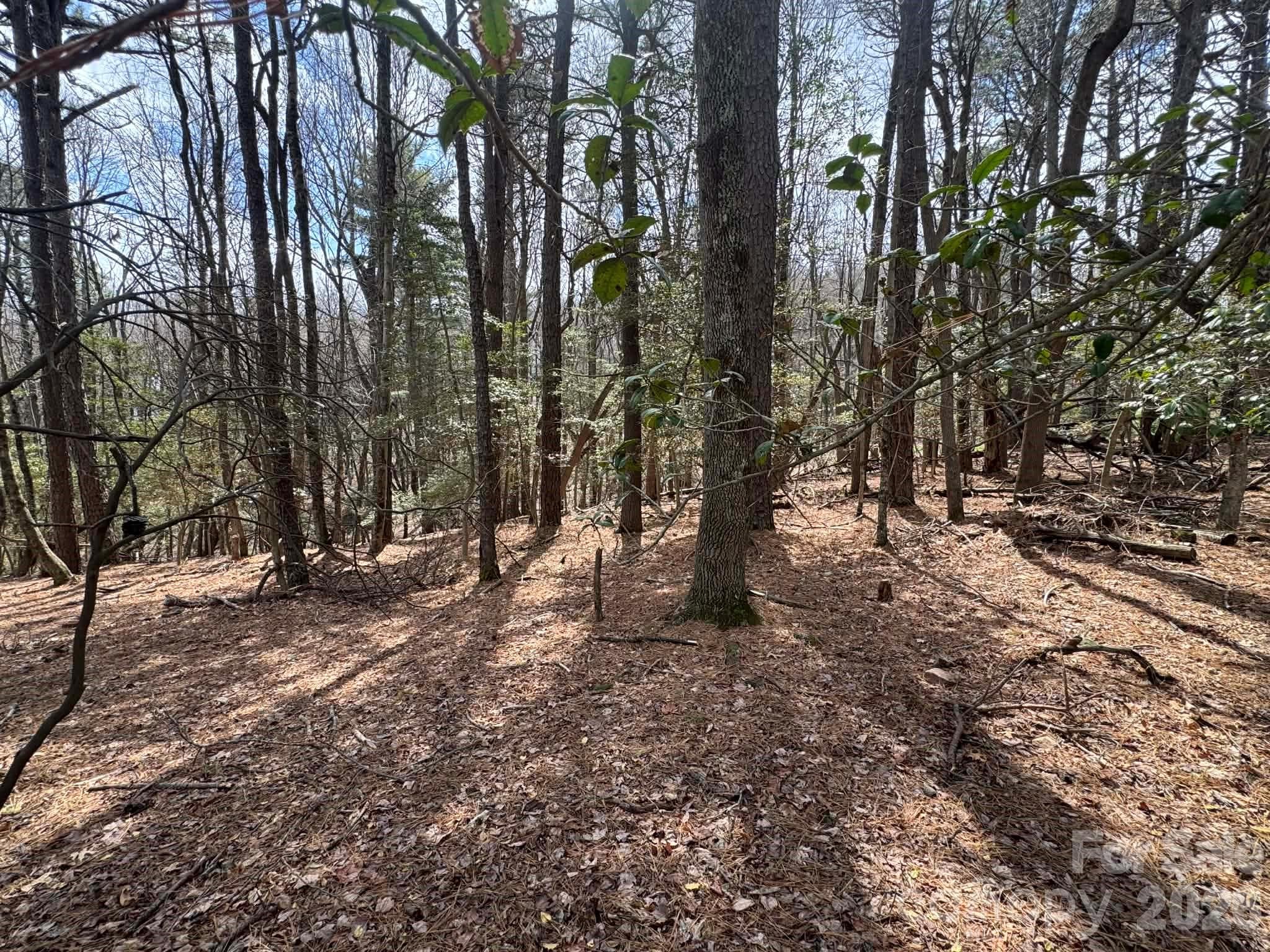 Lot at TBD Ward Circle Drive, Sparta, photo 9 of 21